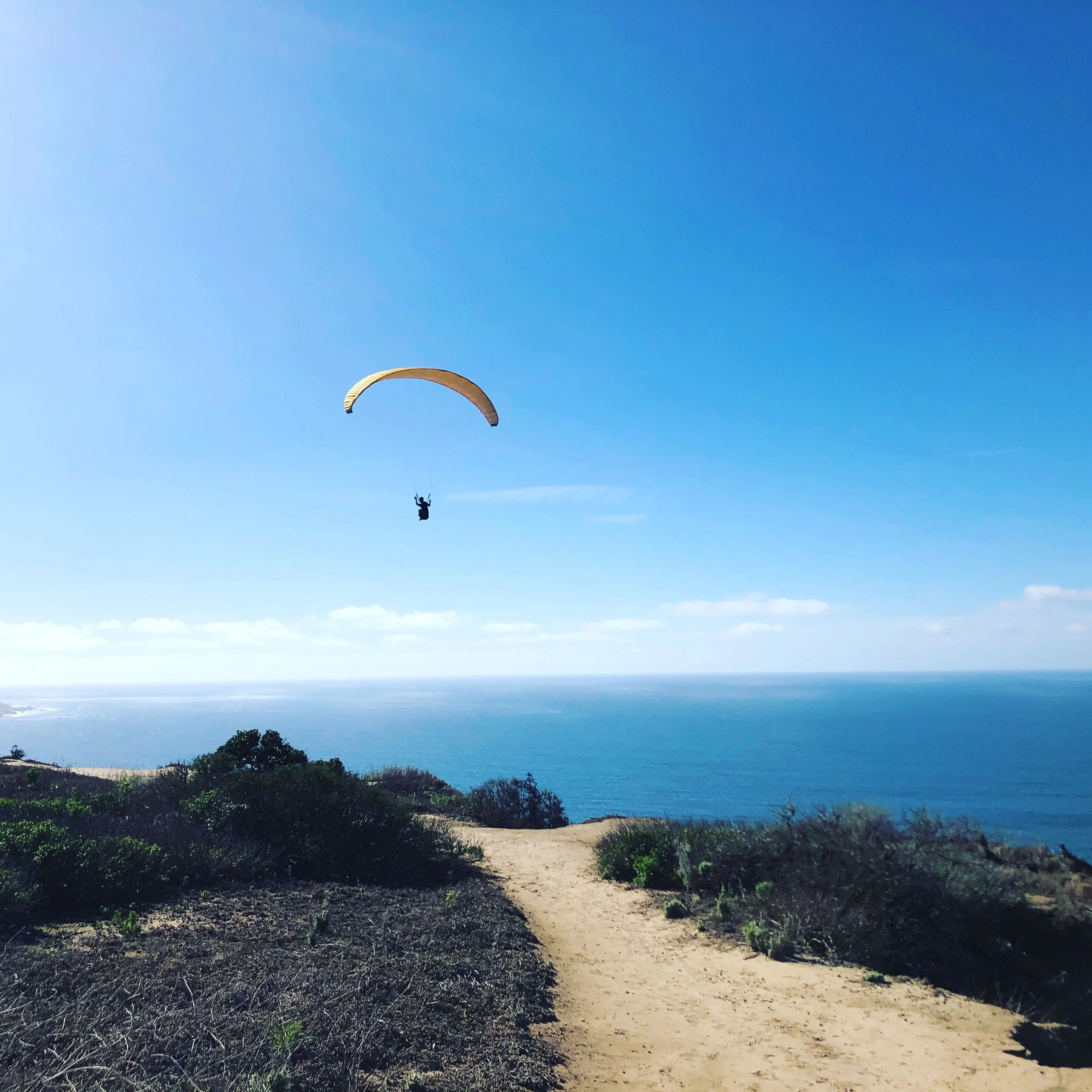 Happy New Year! (The Door is Open)