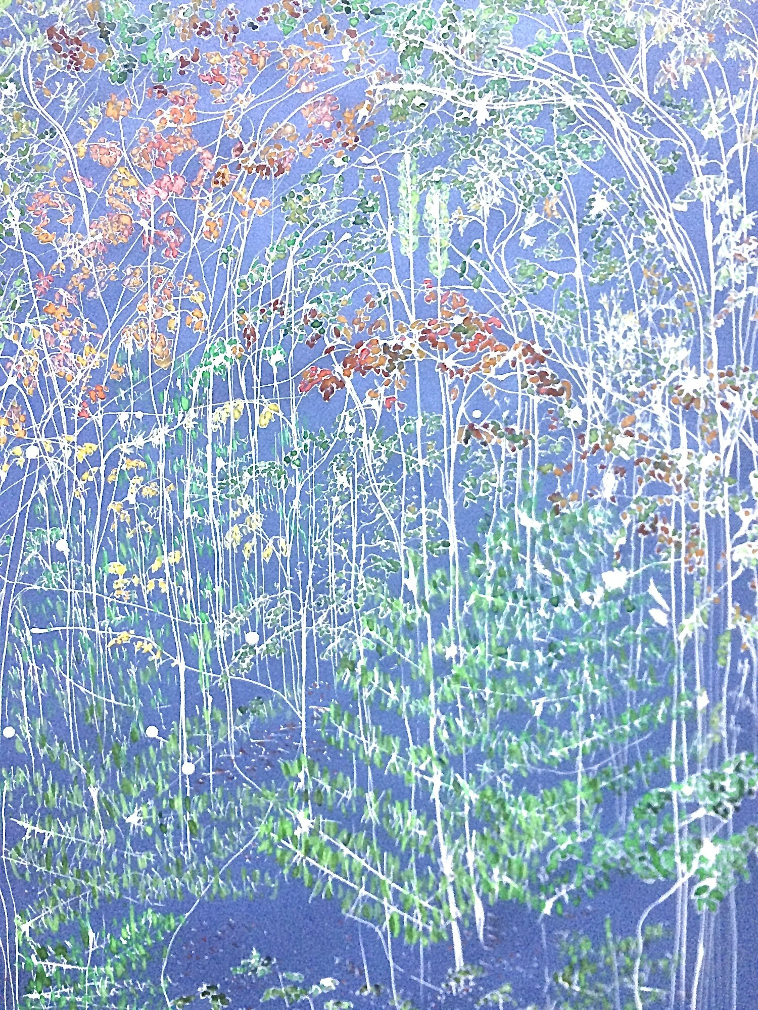 You Are The Groundhog