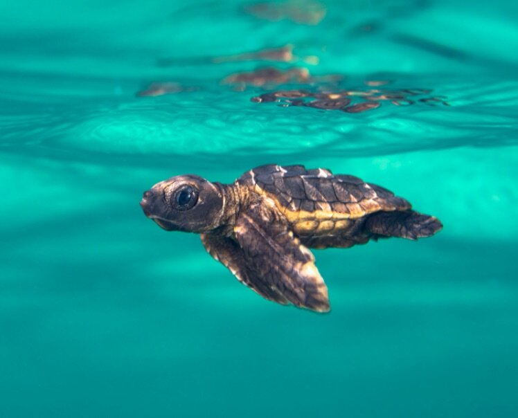 Dedicated to the Space Within