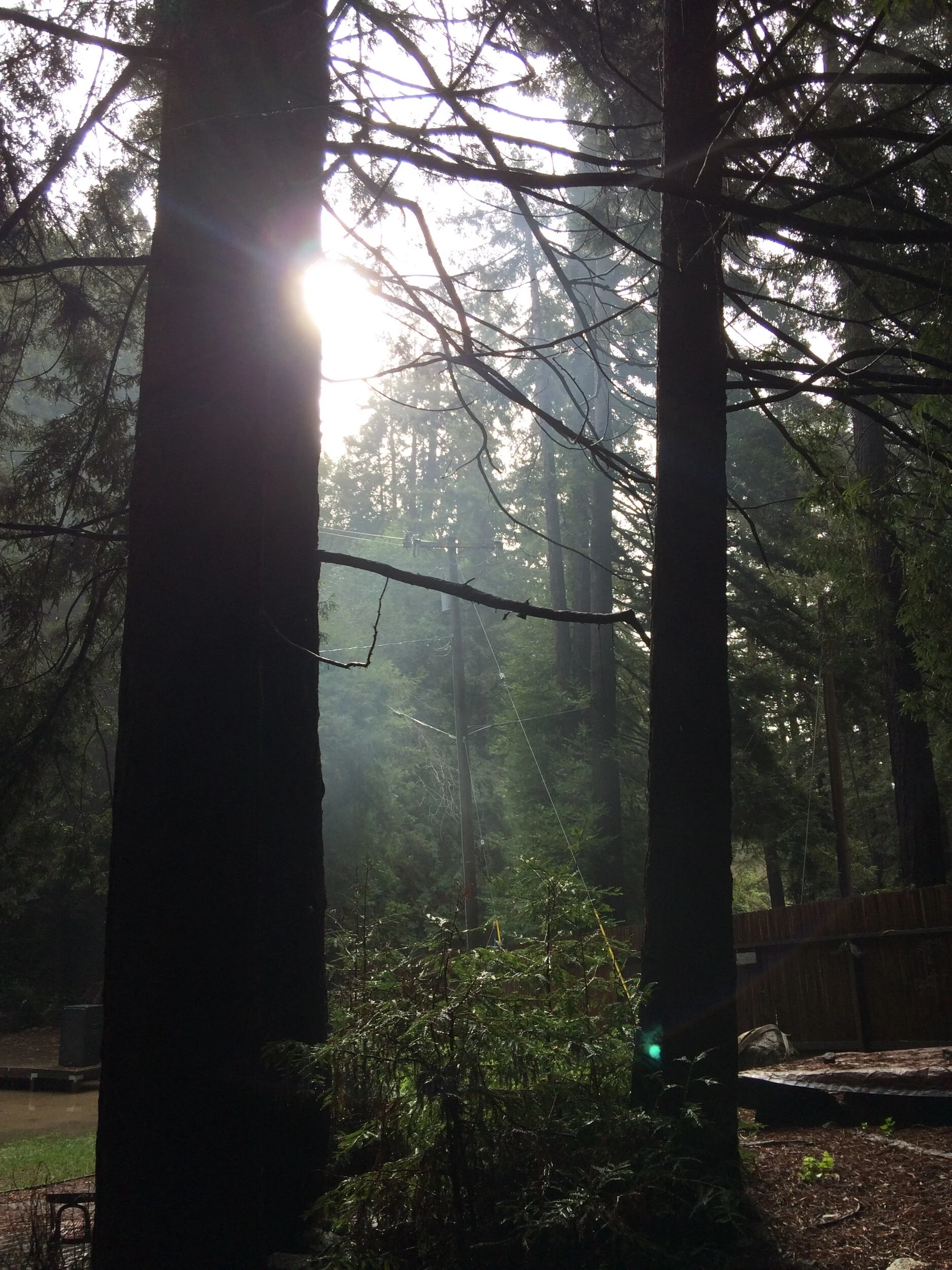 Seeing Beyond The Fog