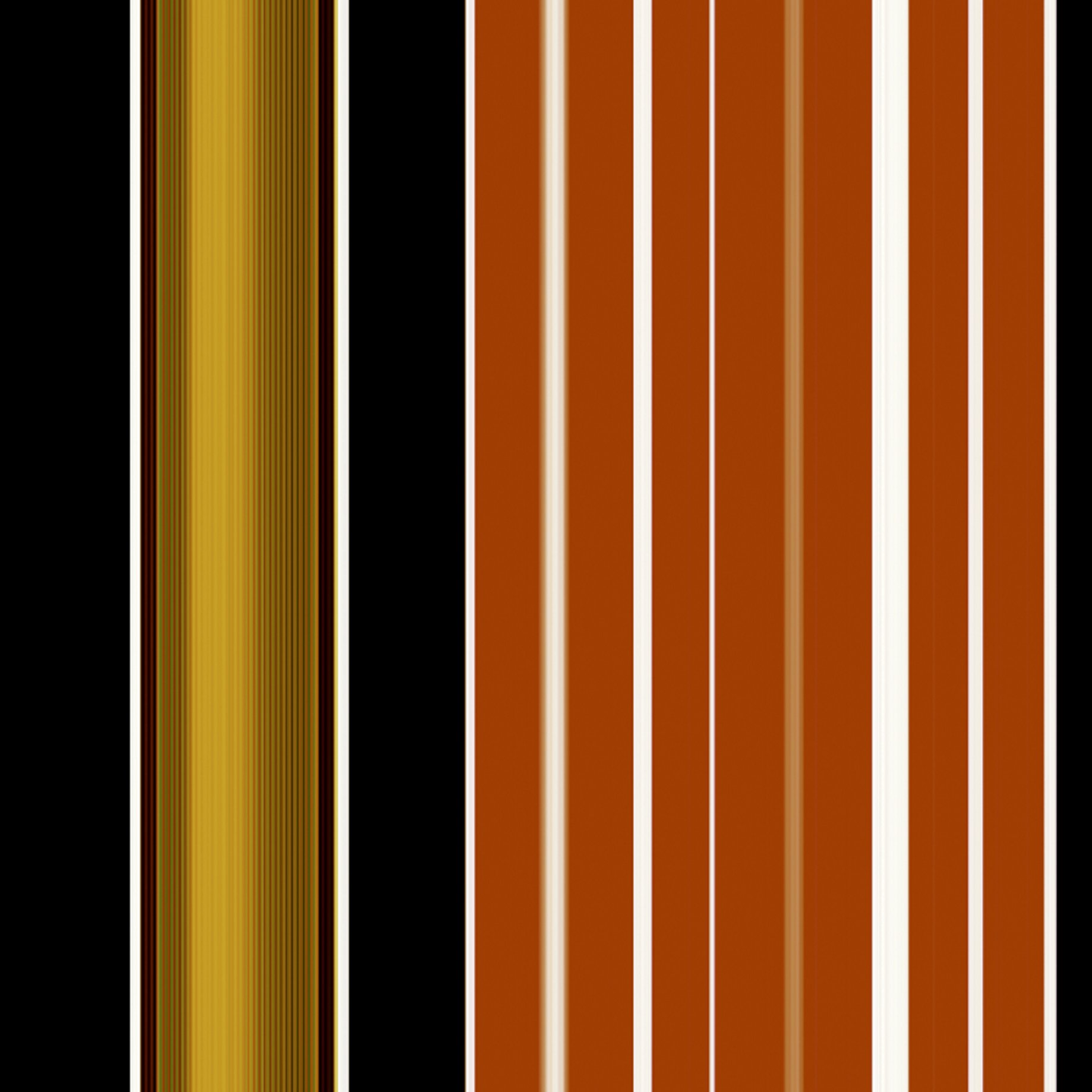 ROLO.jpg