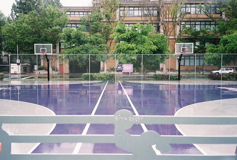 Rainy Court side by side 4.9.16.jpg