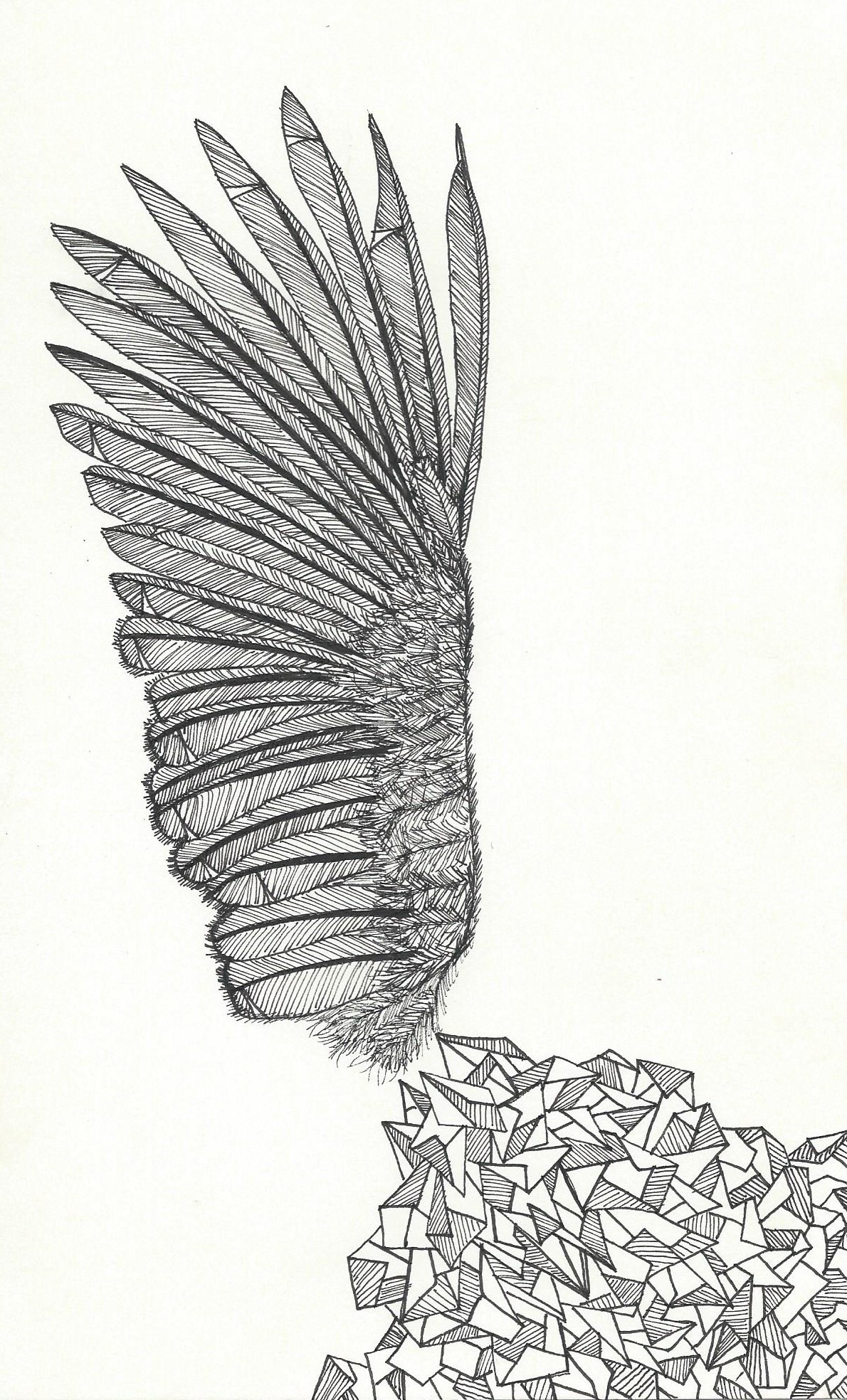 Feathers and Crystals.jpg