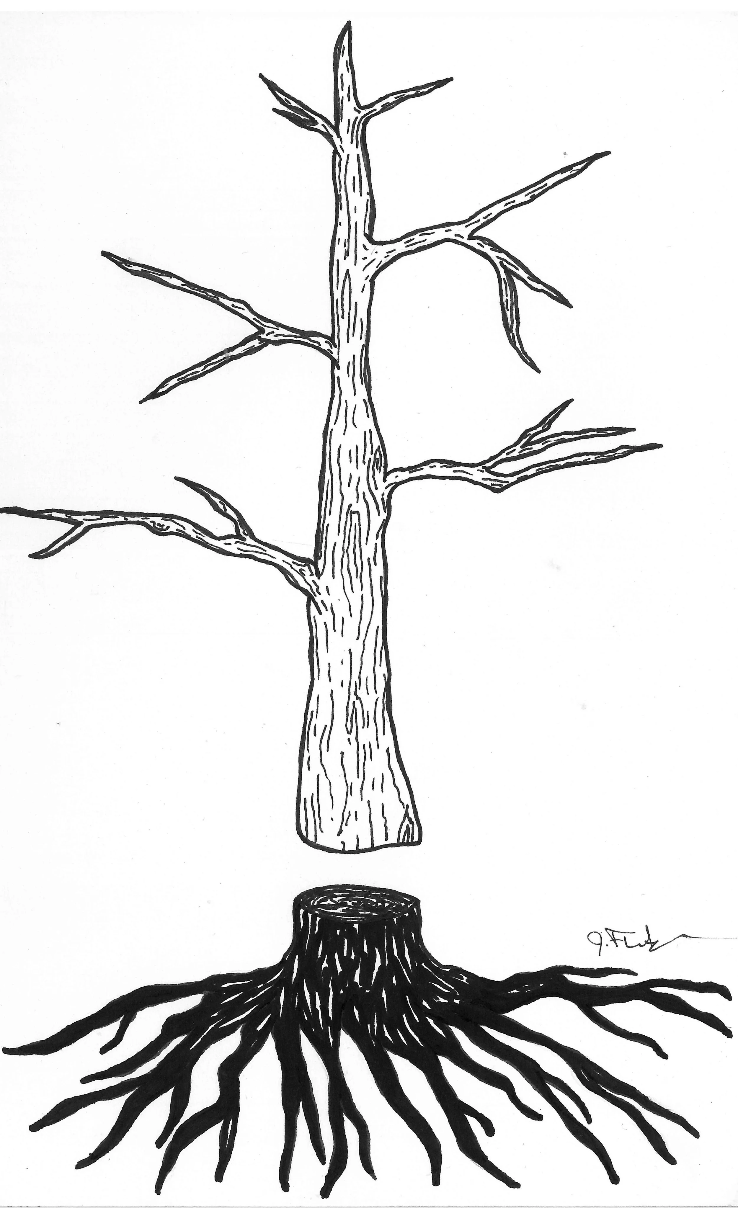 Ghost Tree.jpg
