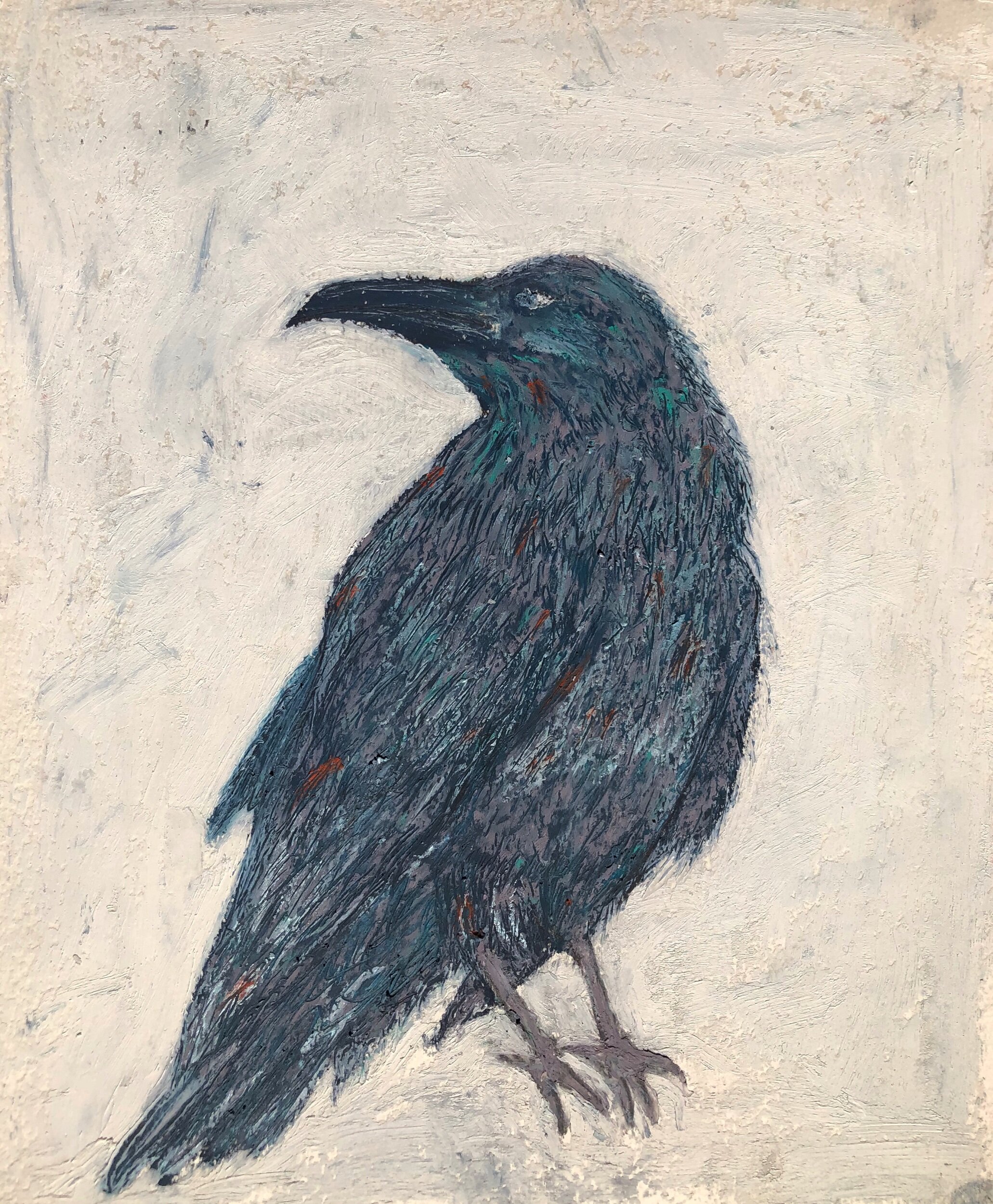 Crow 