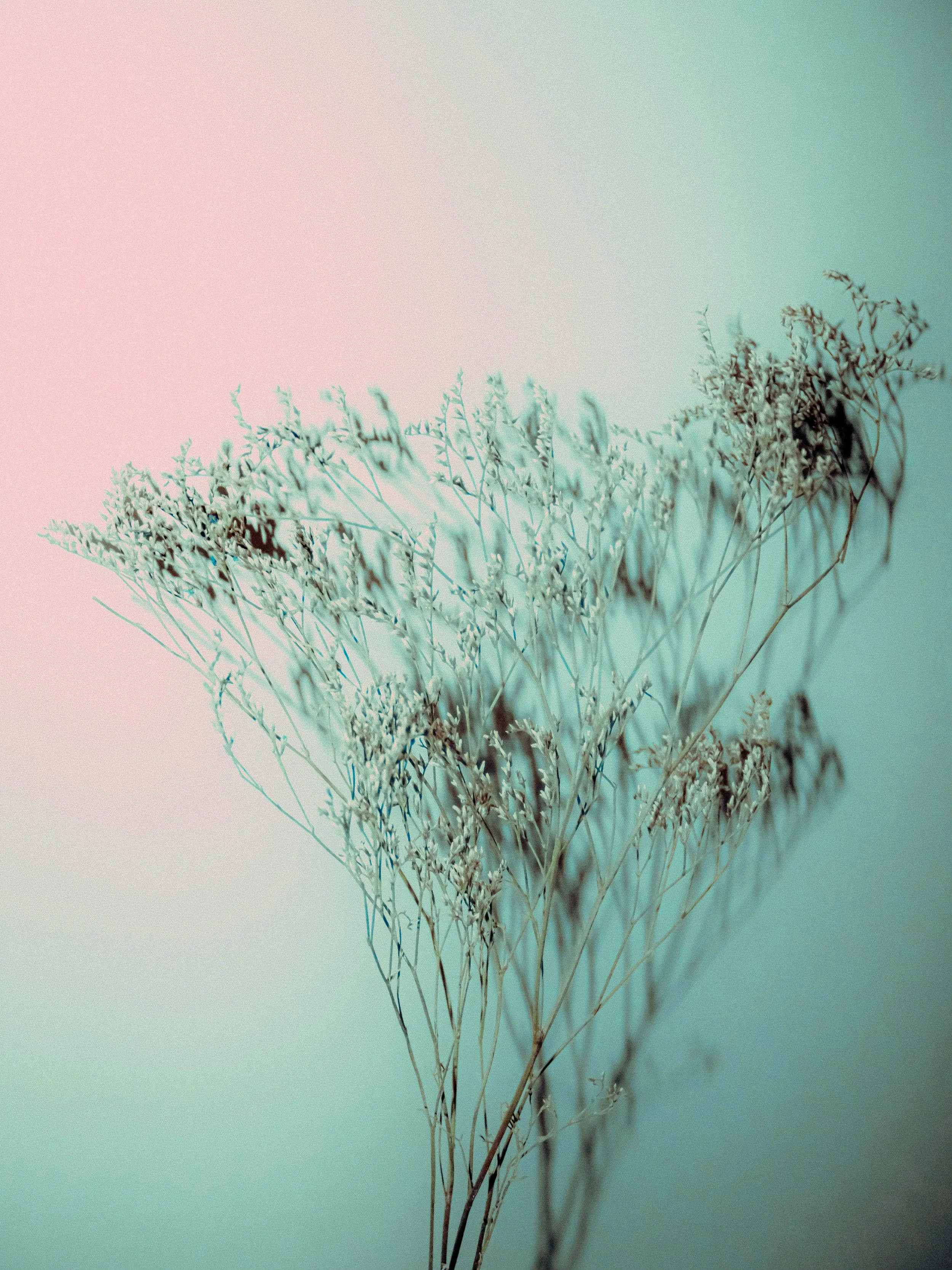 &nbsp;Beauty in the marriage of Science and Nature