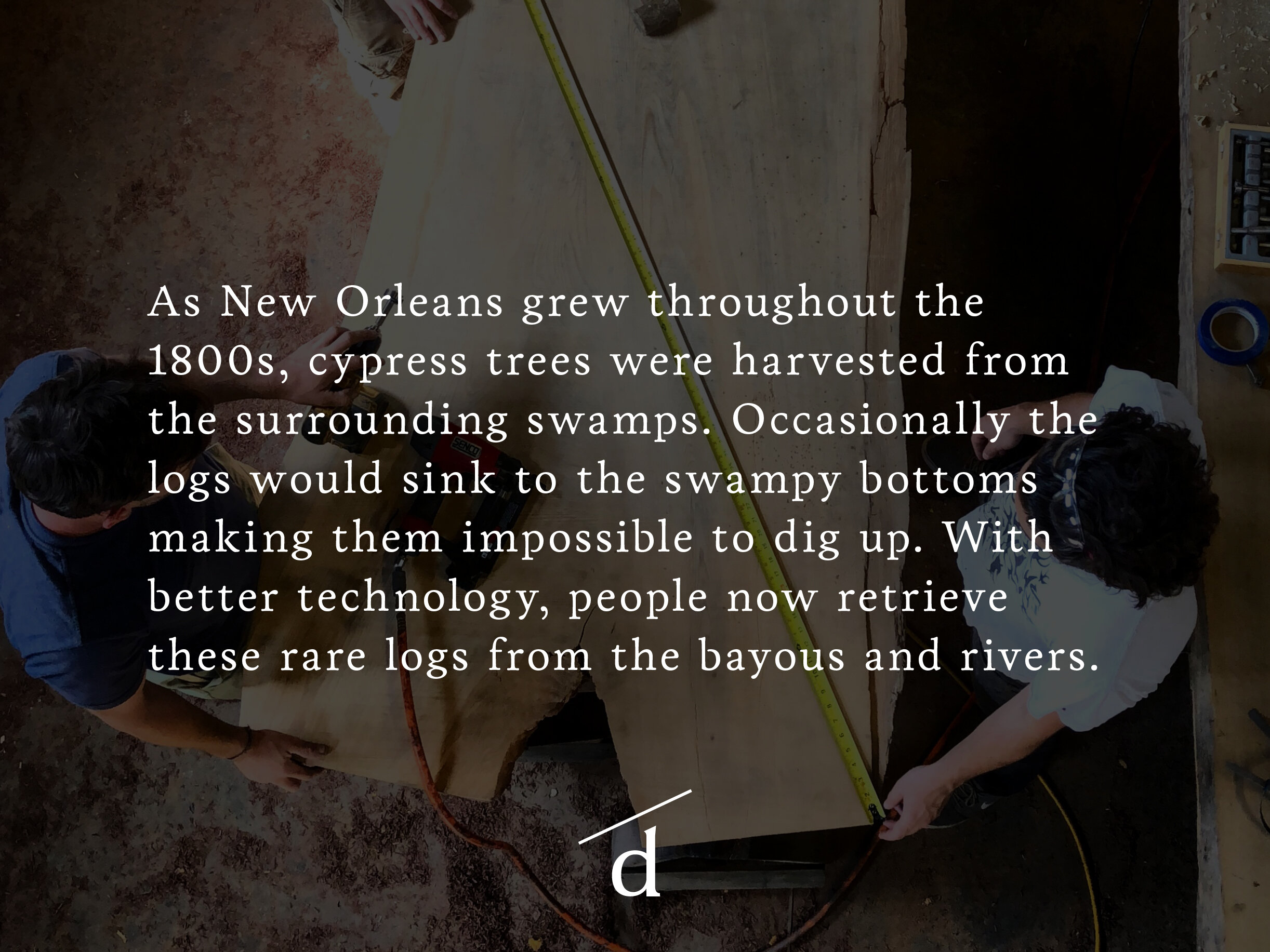 Sinker-Cypress-Quote.jpg