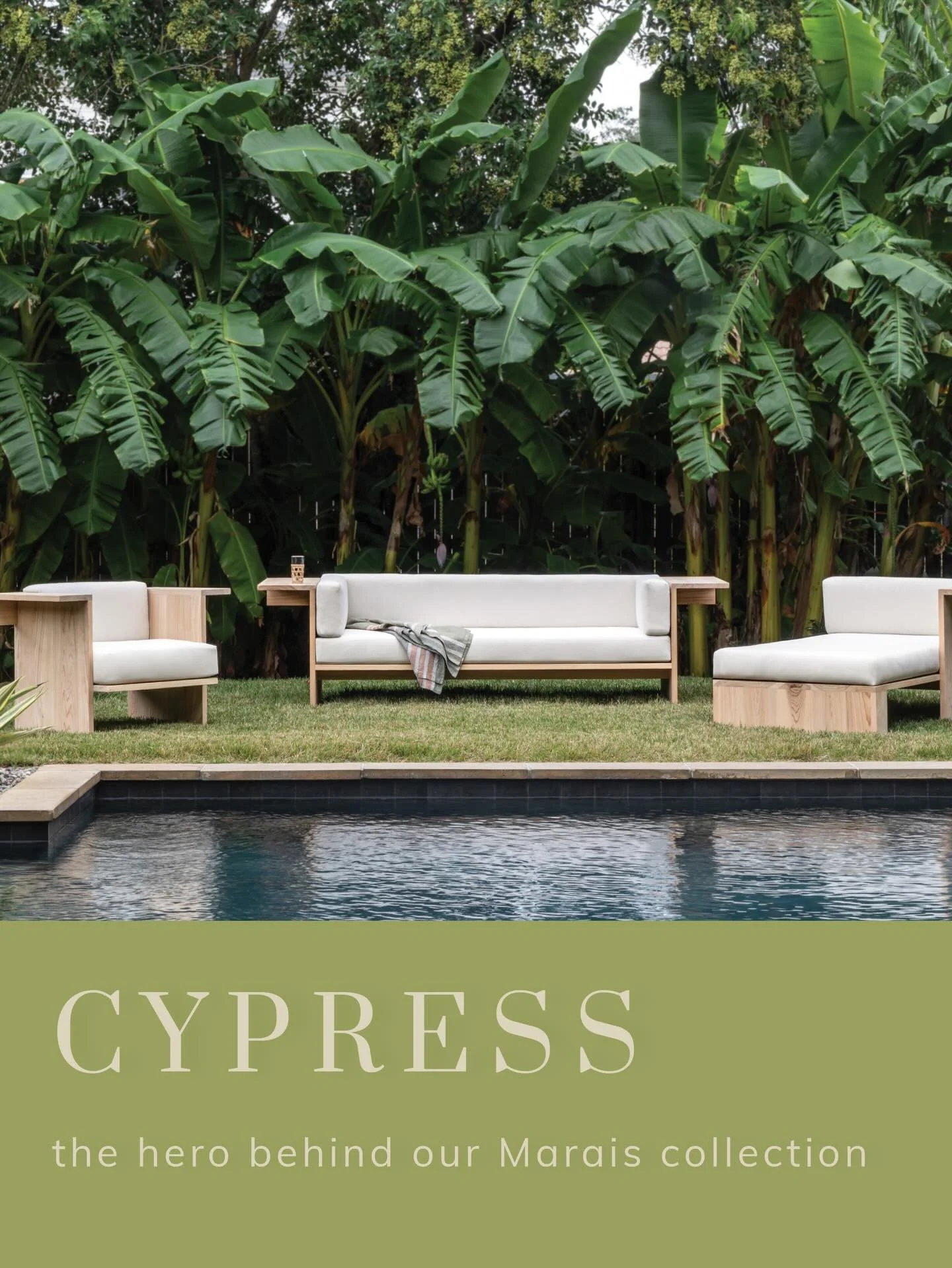 Cypress&mdash; the hero behind our Marais Collection

We sat down with Andrew and Gardener from @crcl1988 to chat about Louisiana&rsquo;s most special tree. 

Read more on our blog- Mailman