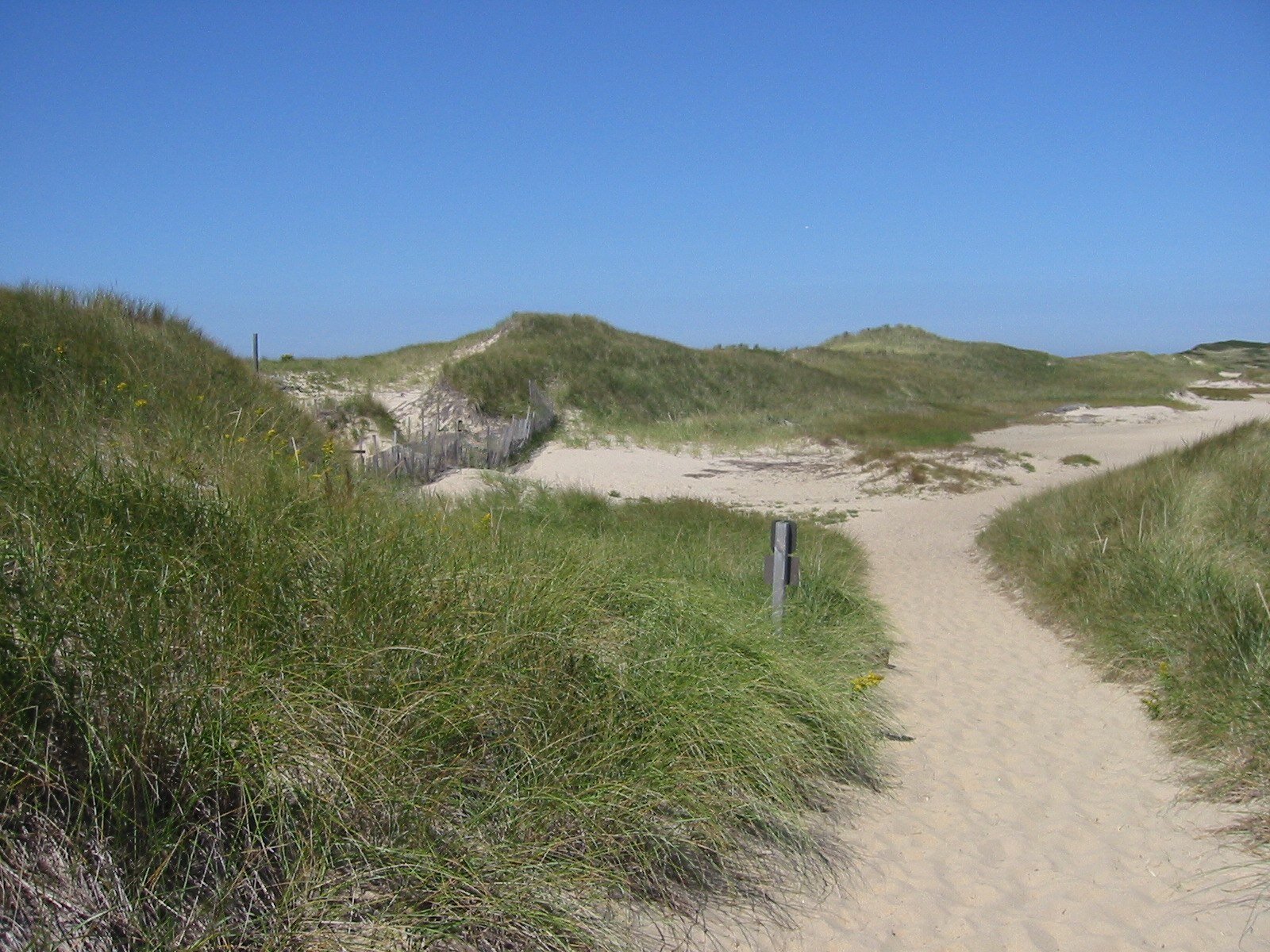 dunes path-2.jpg