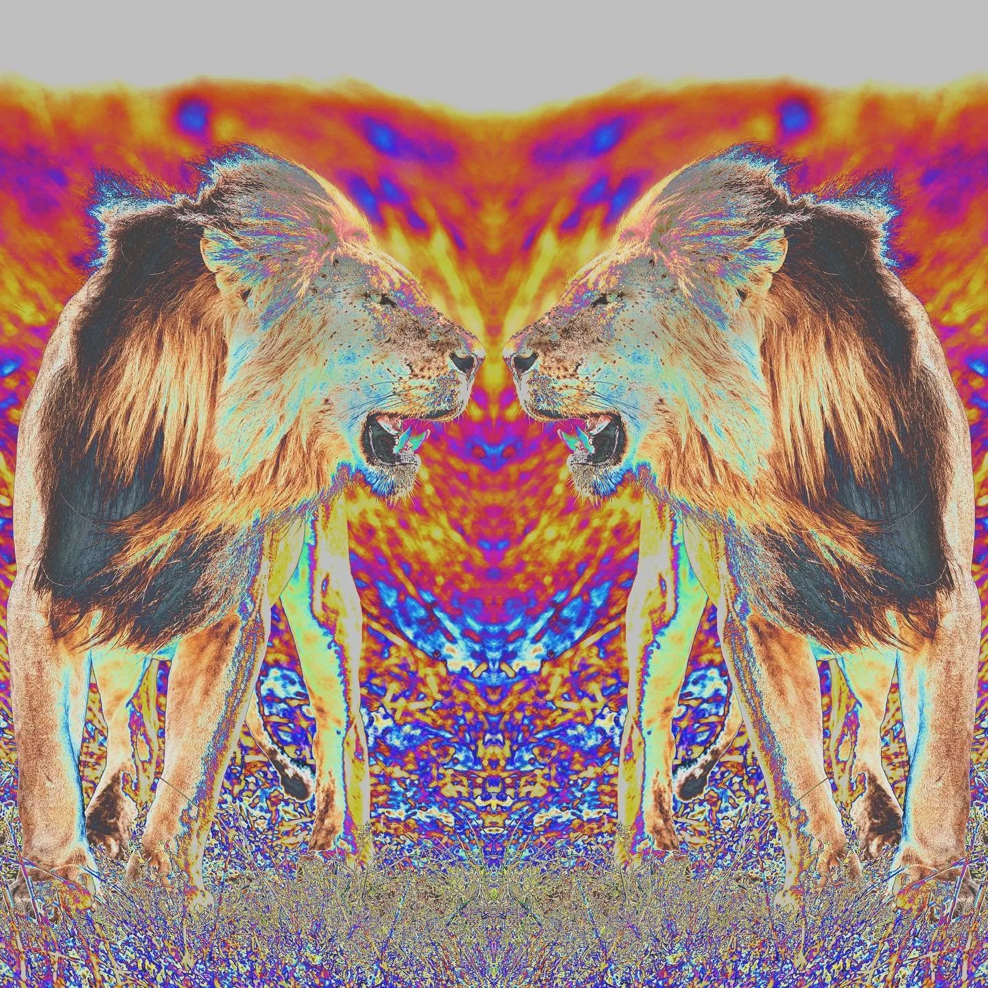 🦁8/8🦁

#縁稼ぎ