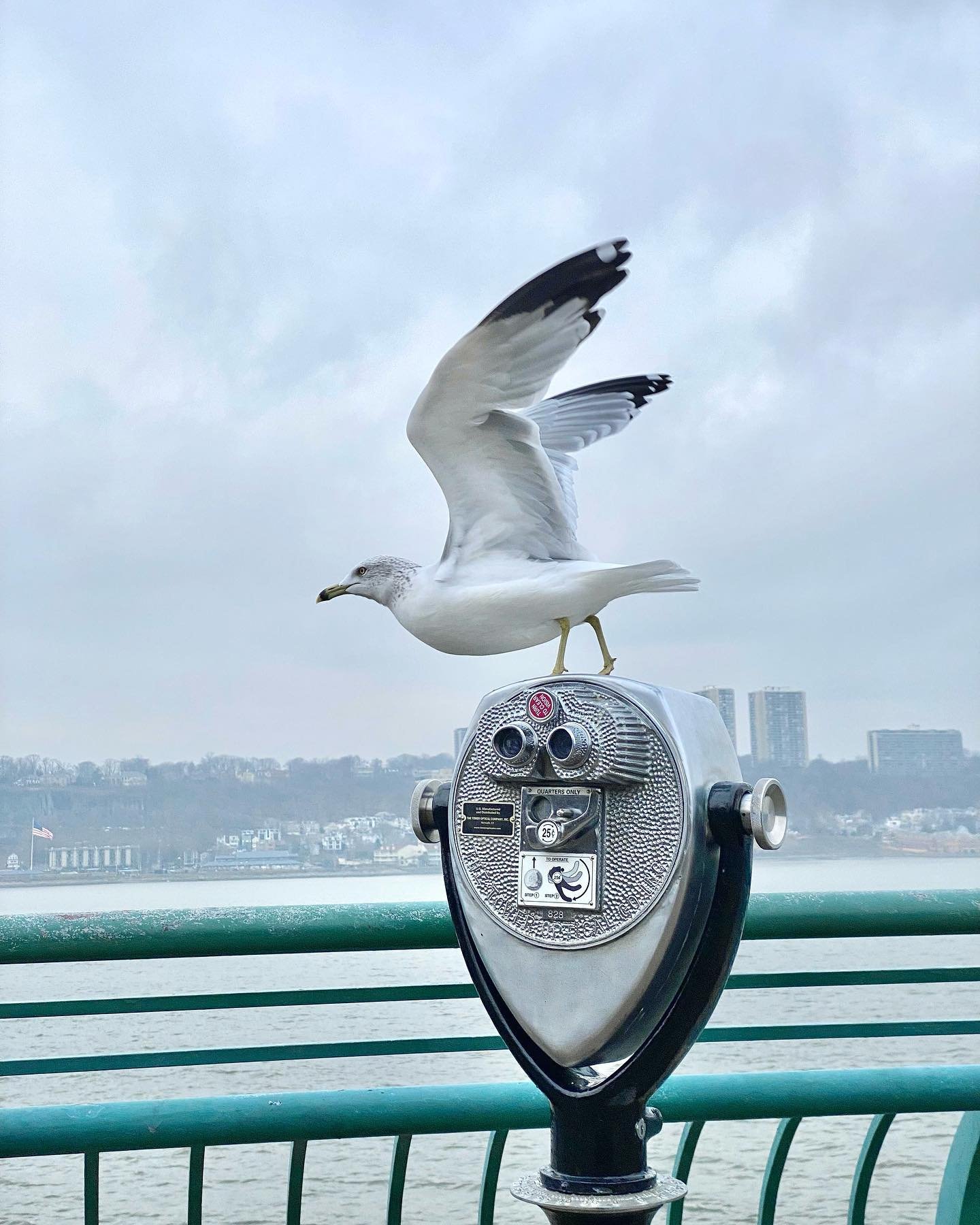 Can we assume winter is almost over? 
#impatient