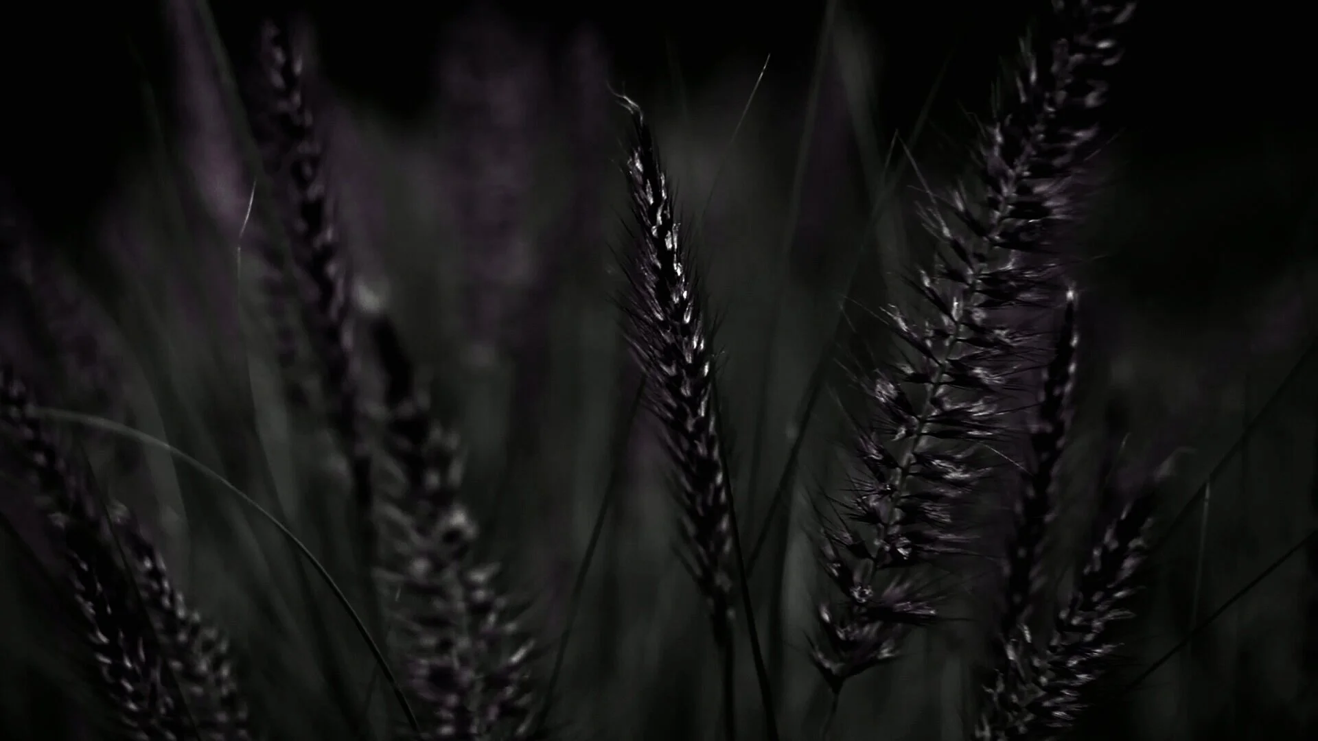 RSH_1.1.8.jpg