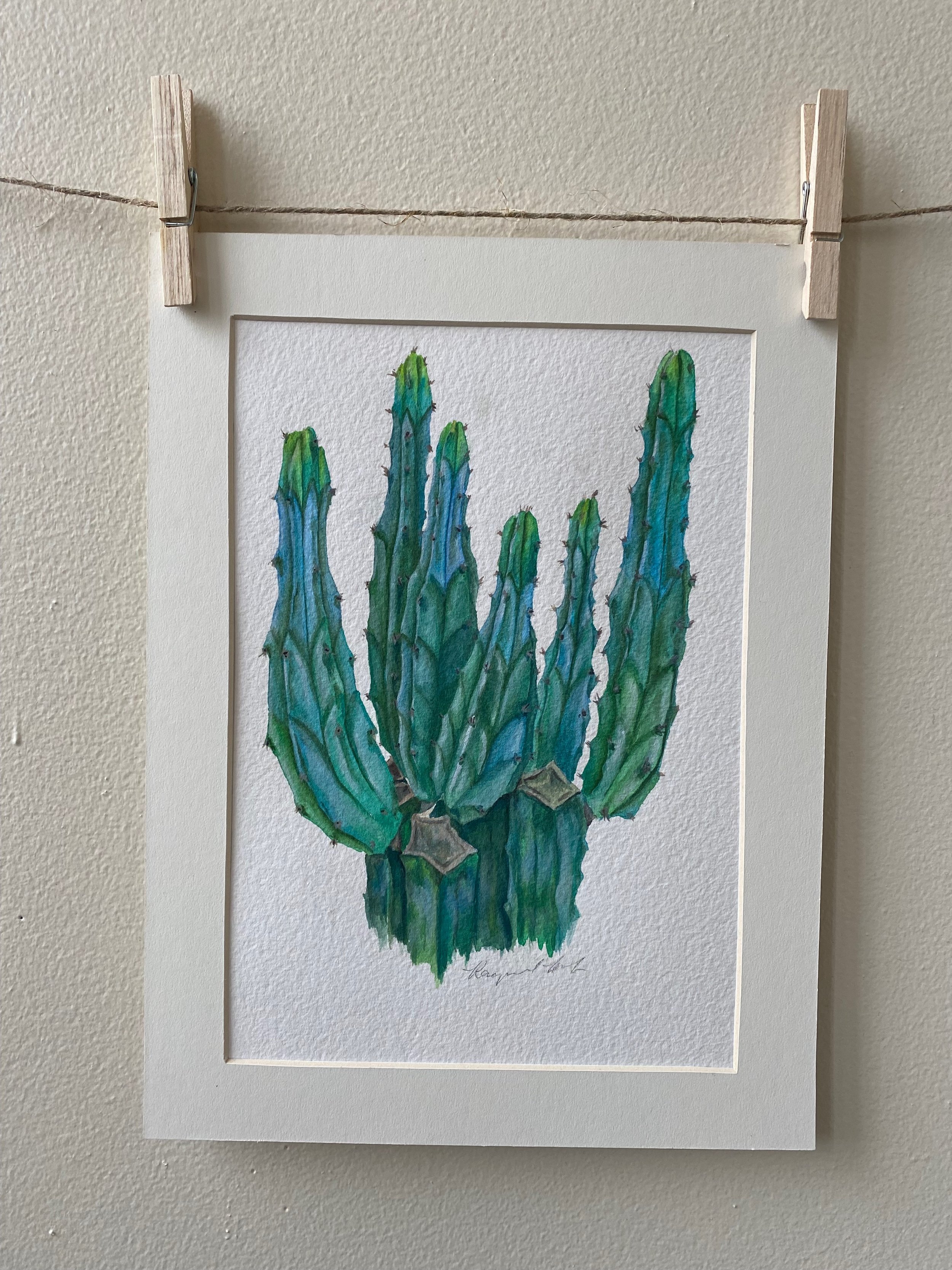 Cactus