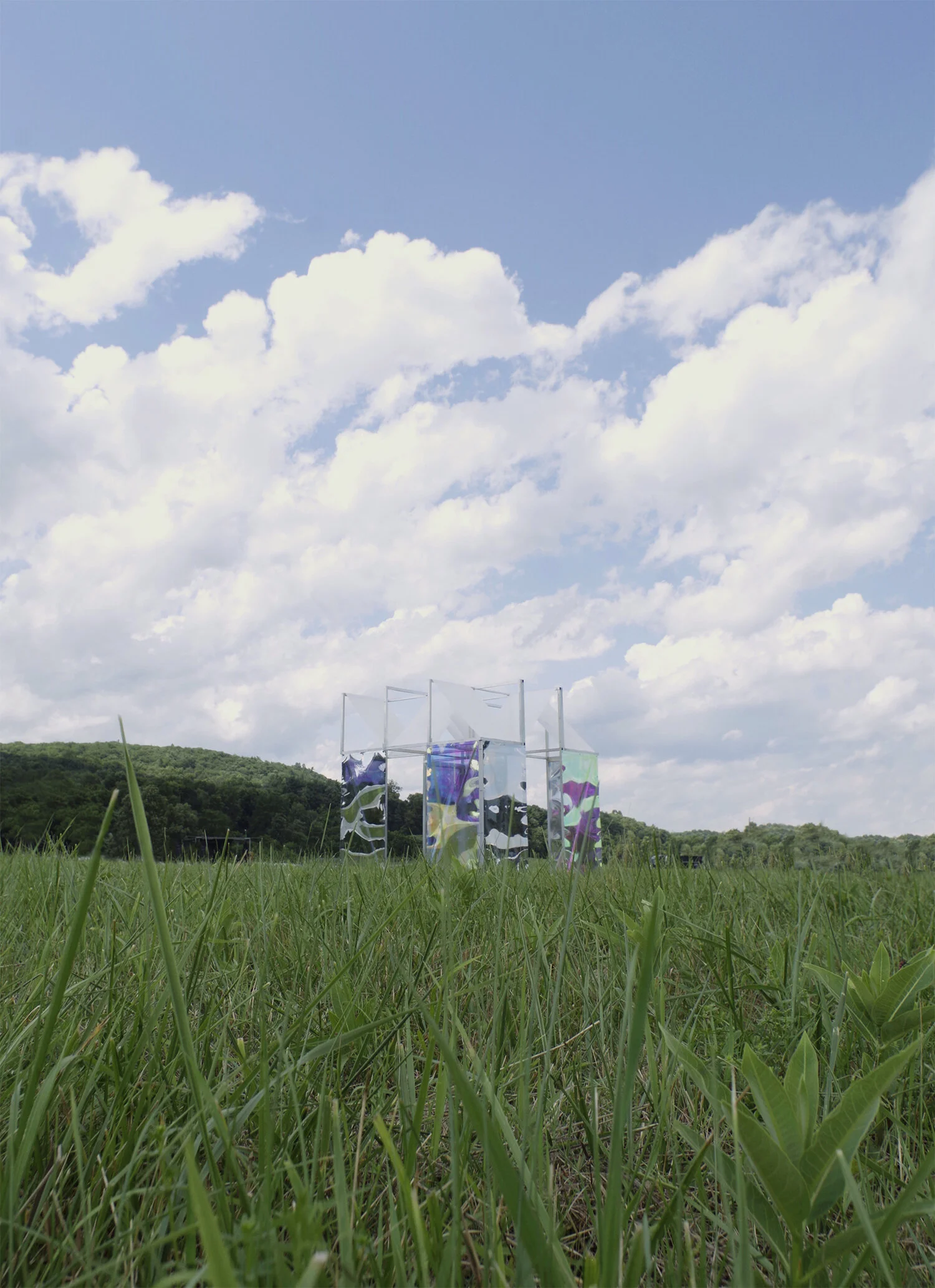 download (80).jpeg