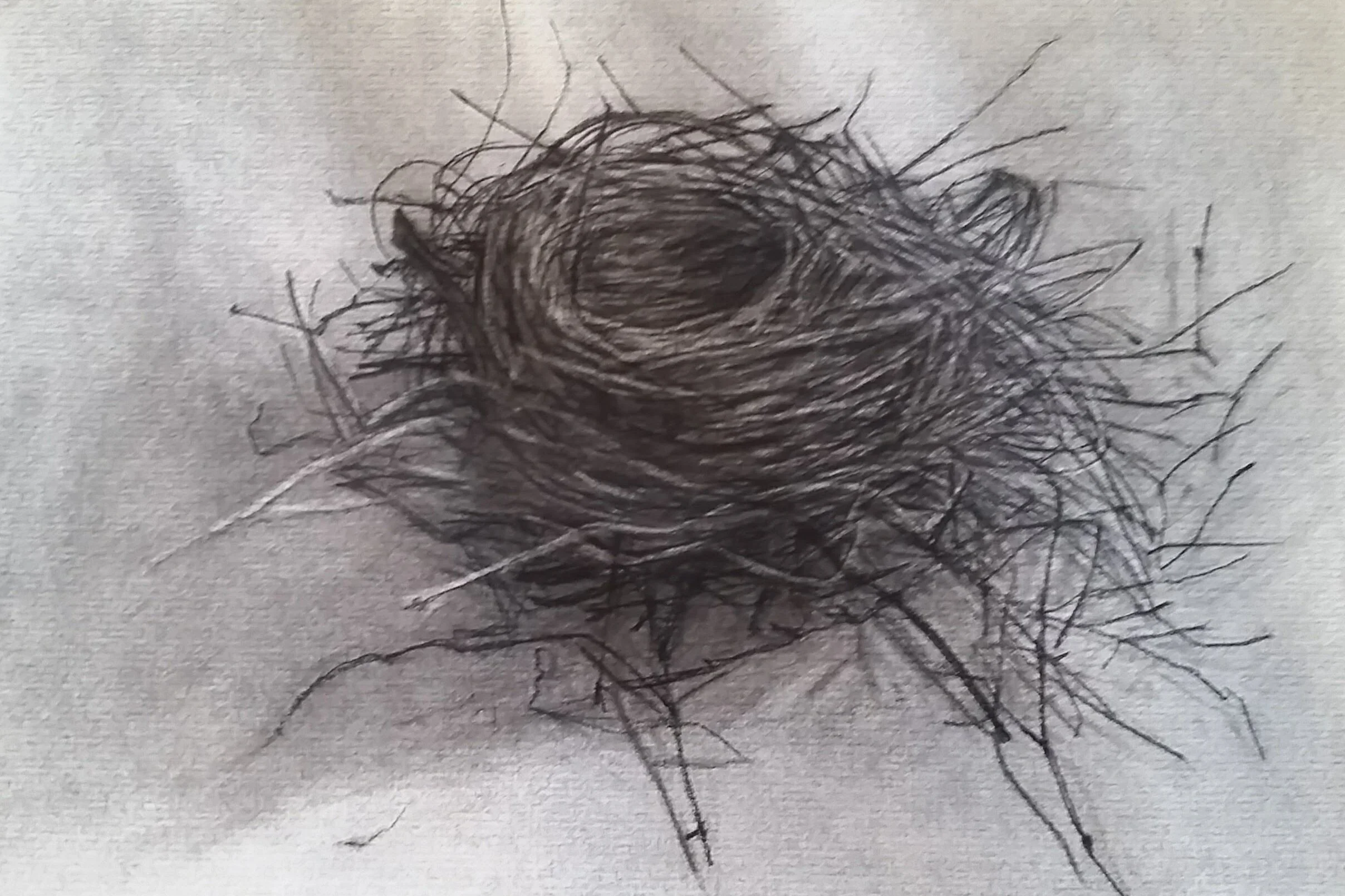 Nest