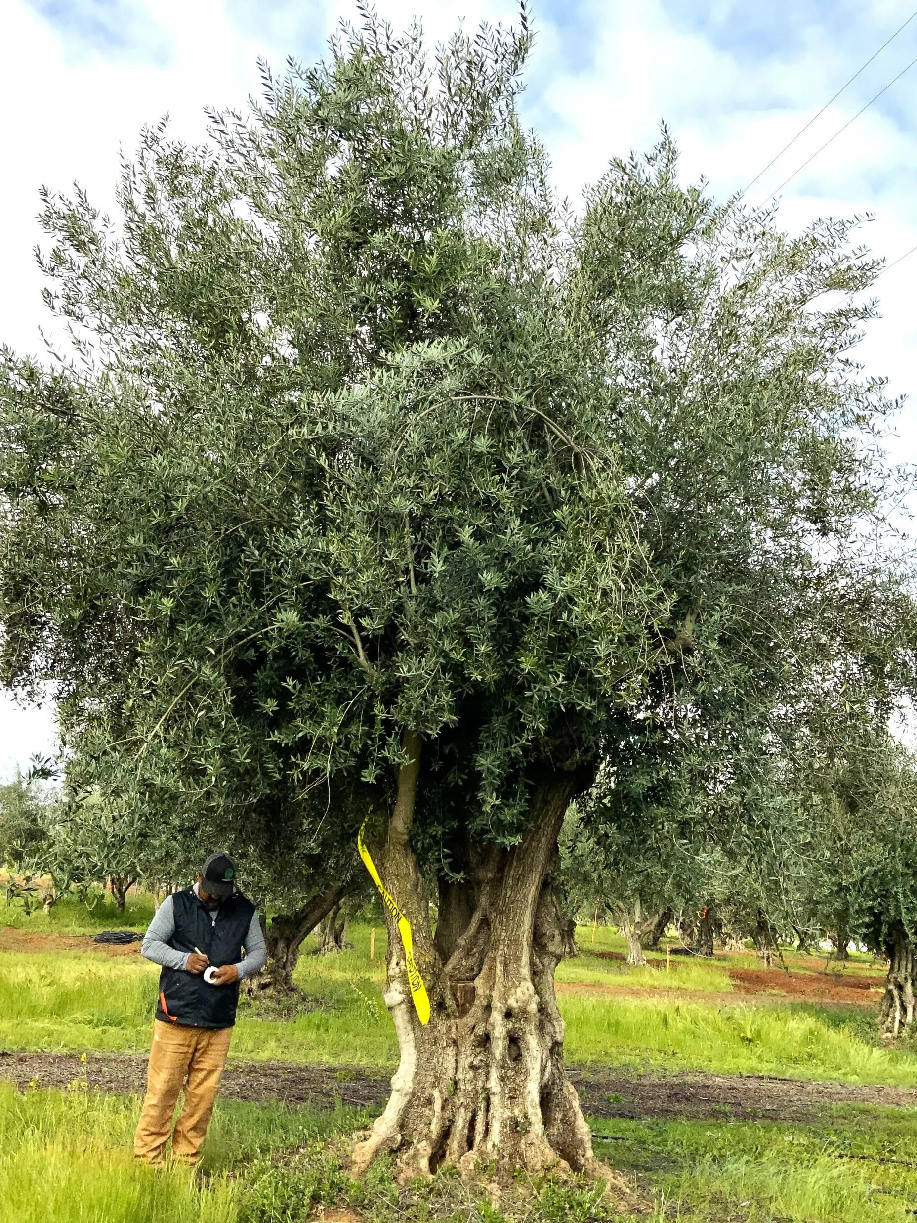 Stock Product 103-2.jpeg