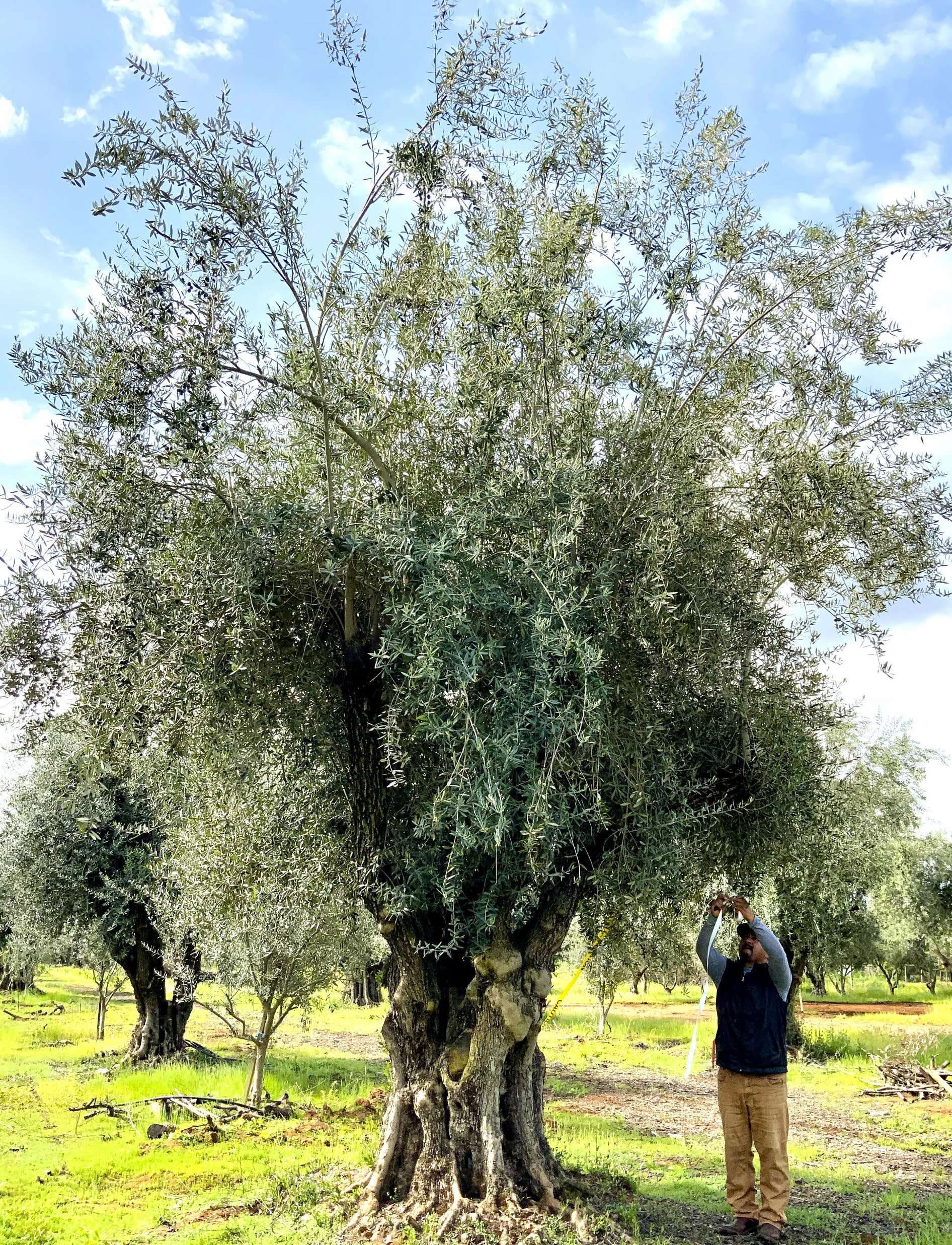 Stock Product 103-4.jpeg