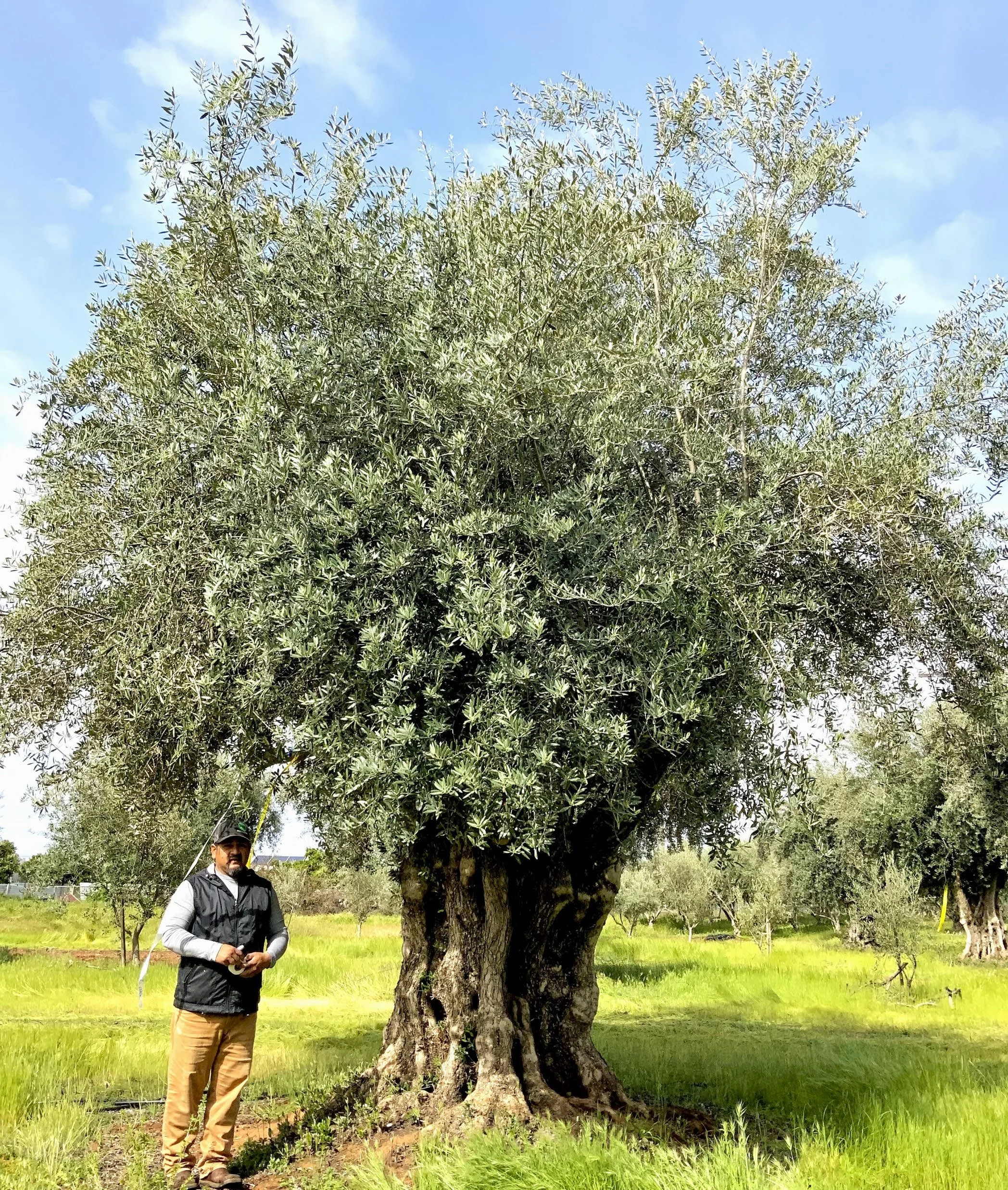 Stock Product 103-7.jpeg