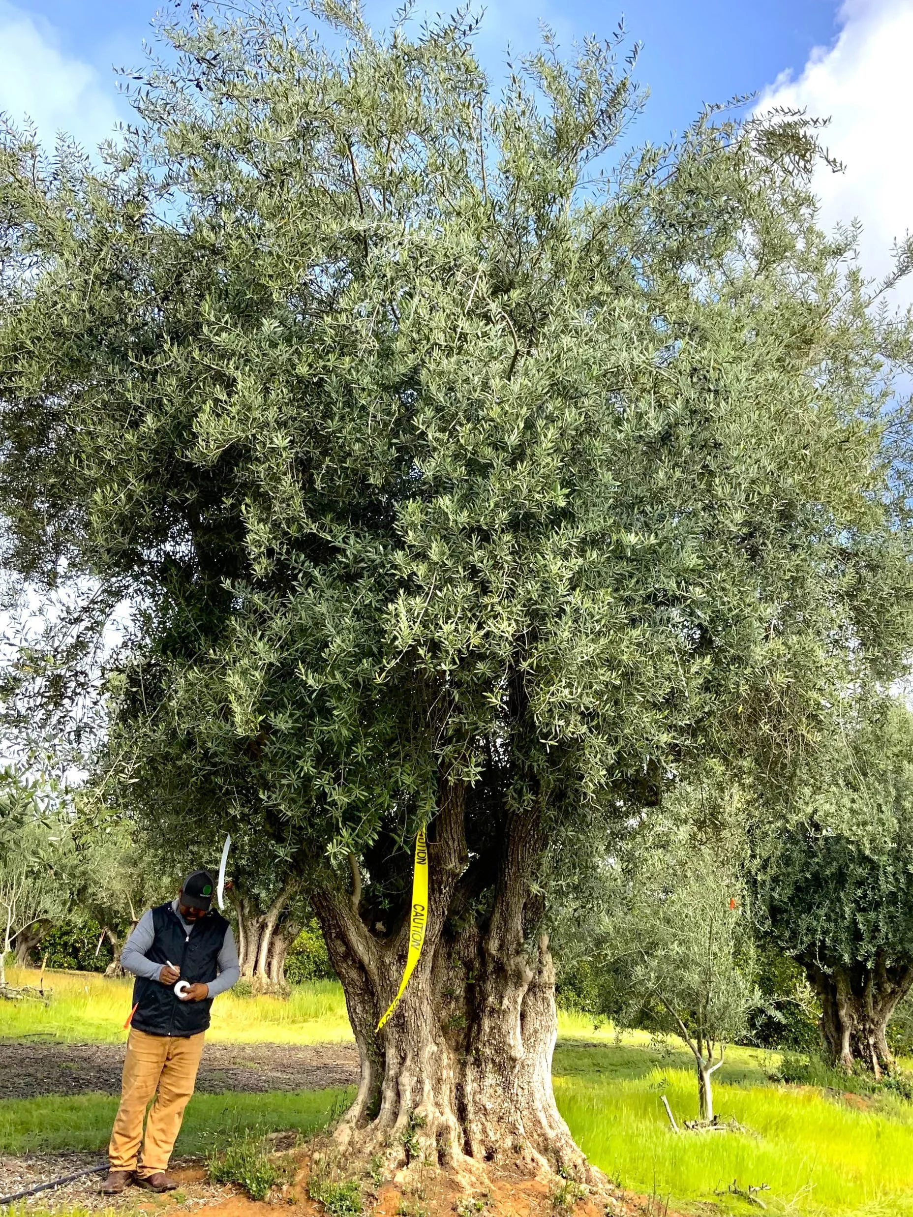 Stock Product 103-3.jpeg