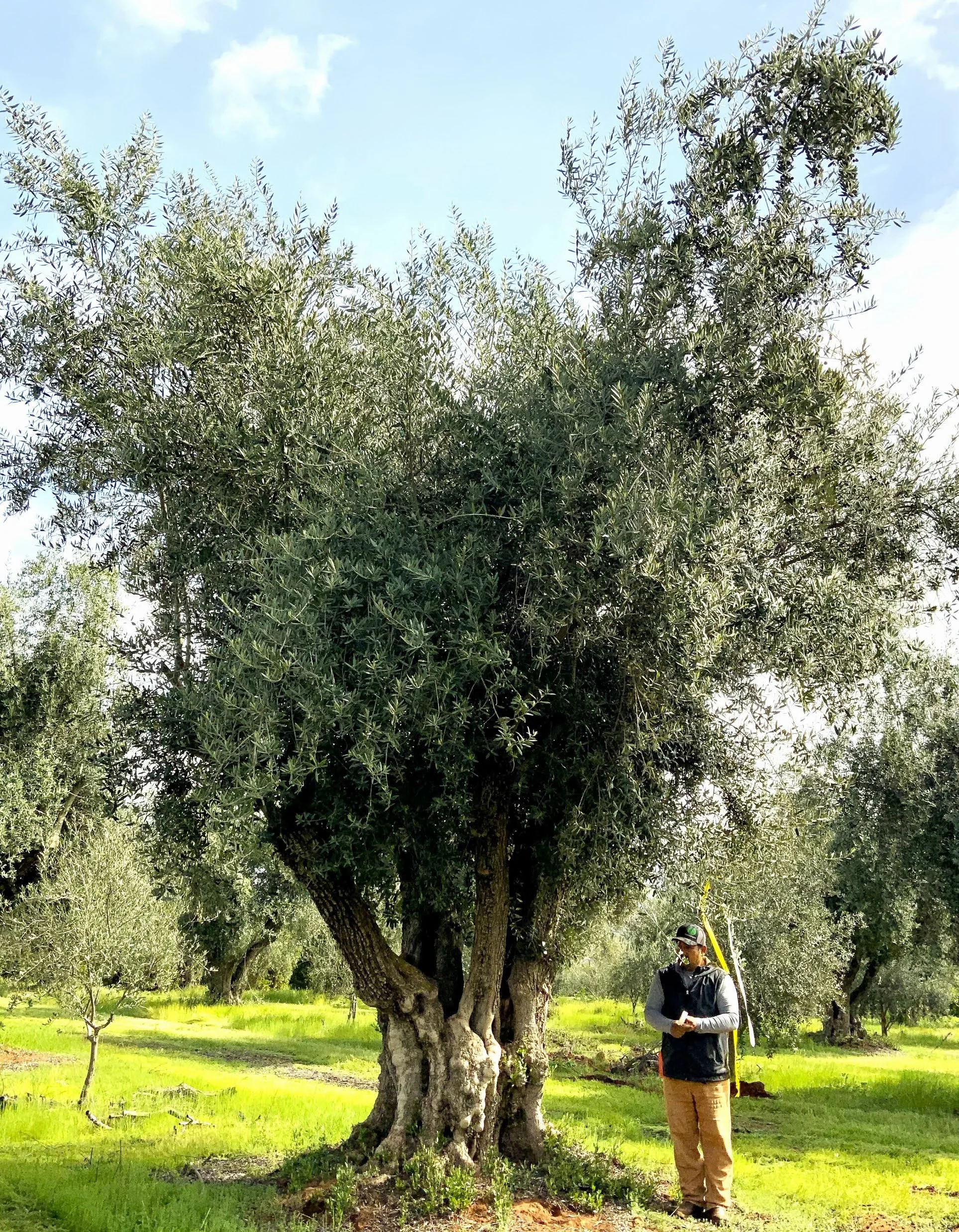 Stock Product 103-6.jpeg