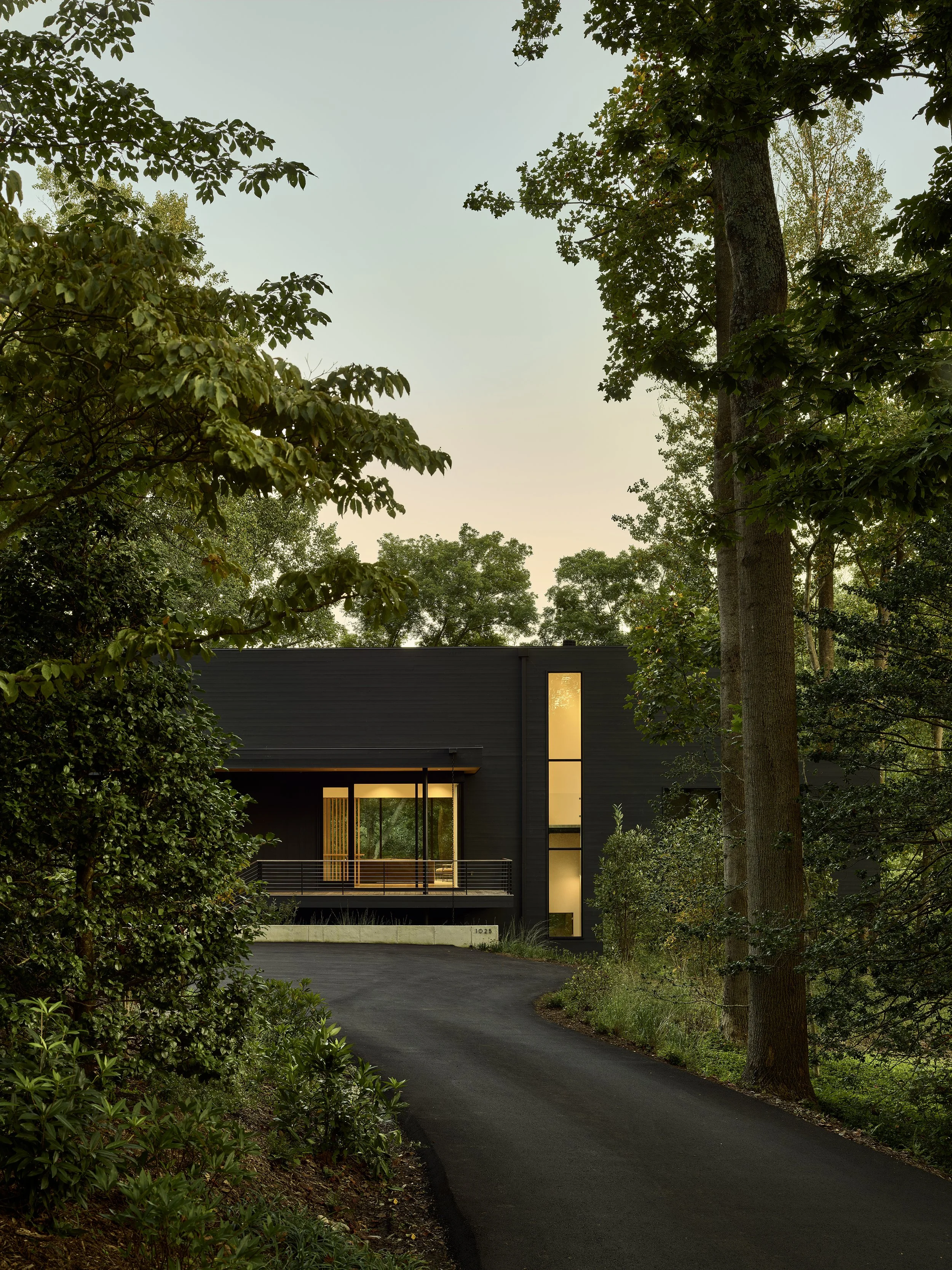 Virginia Tree House