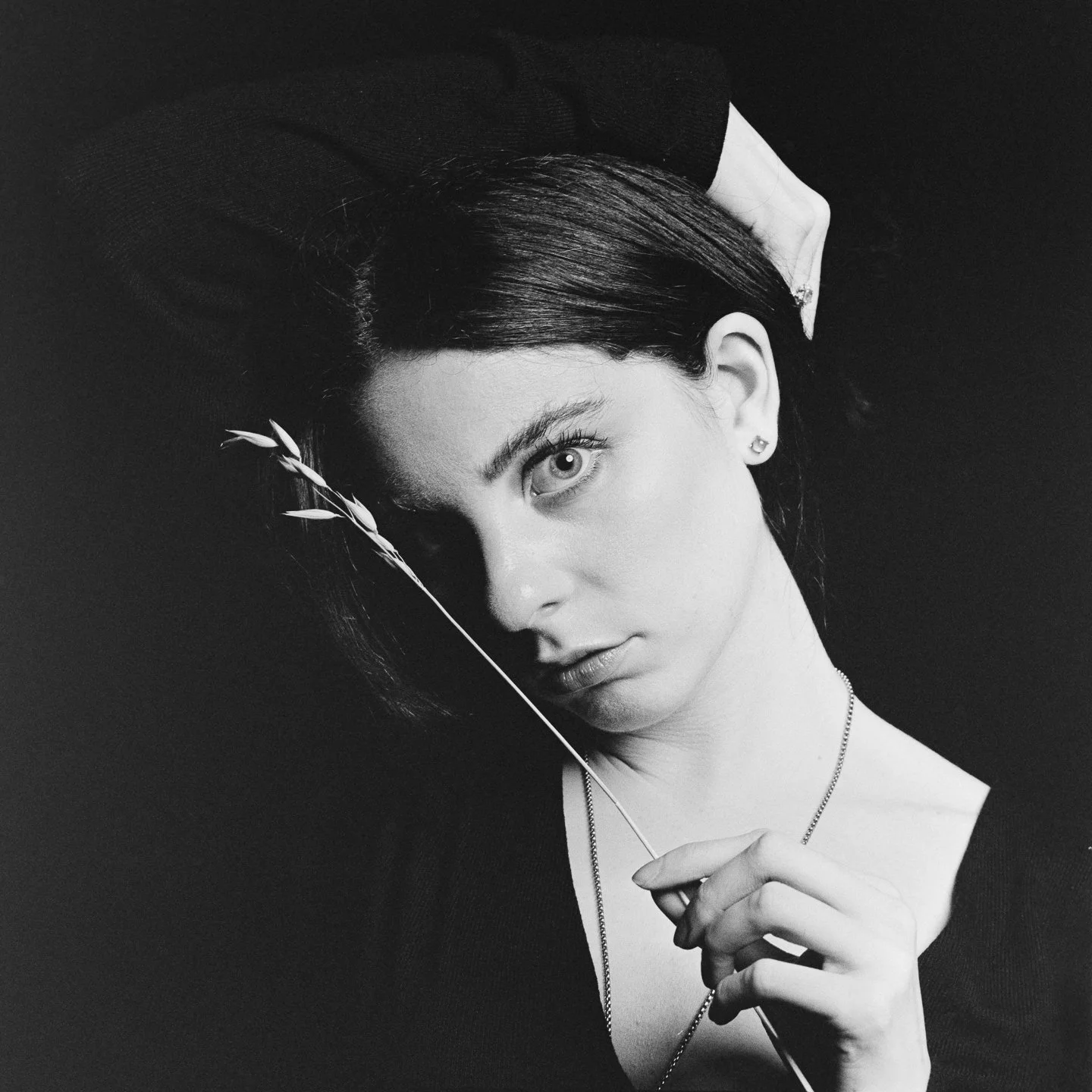 TriX_40000068.jpg