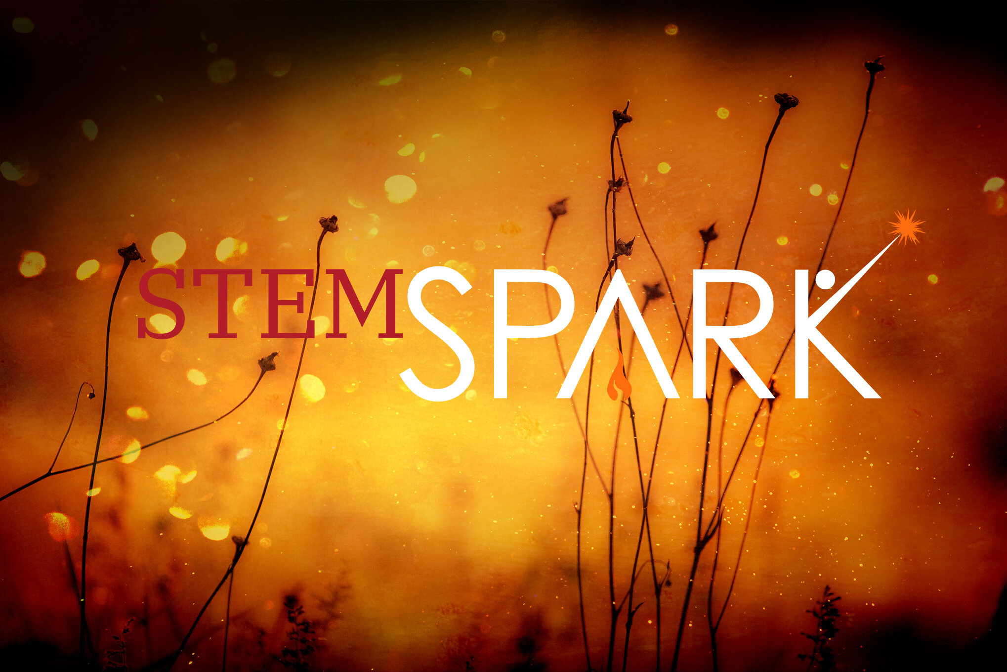 background-3133501_altered.jpg