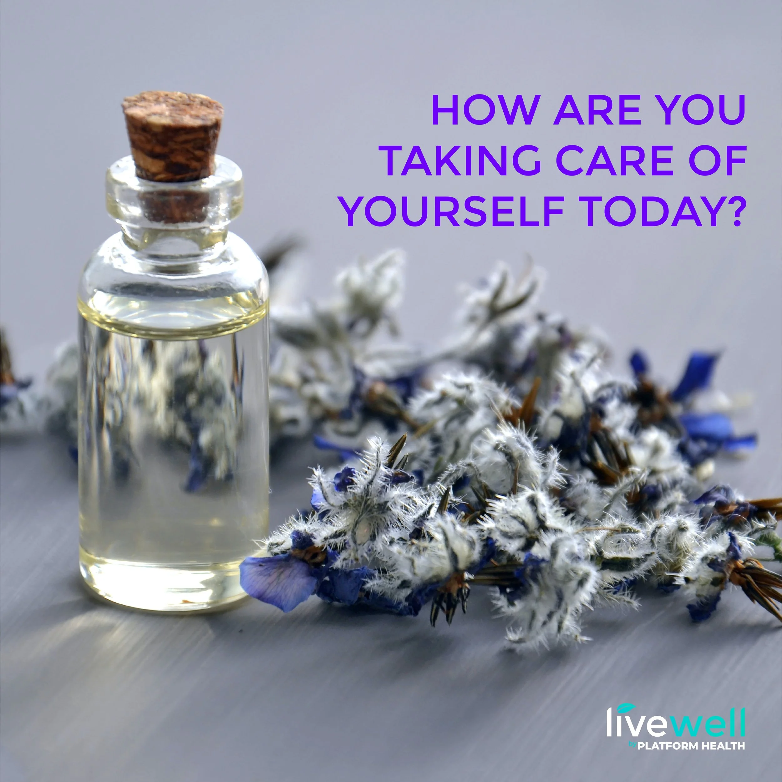 LiveWell