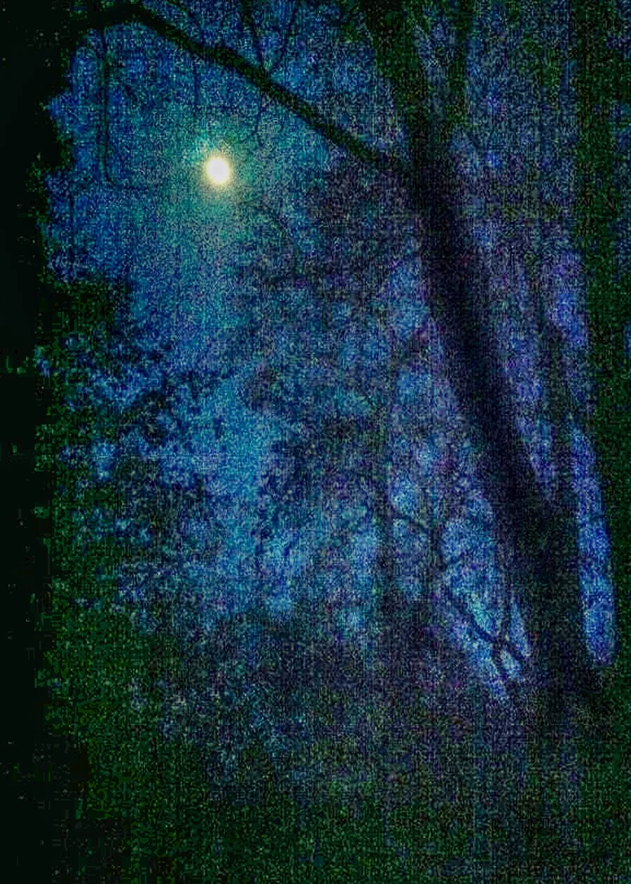midnightbluemoon