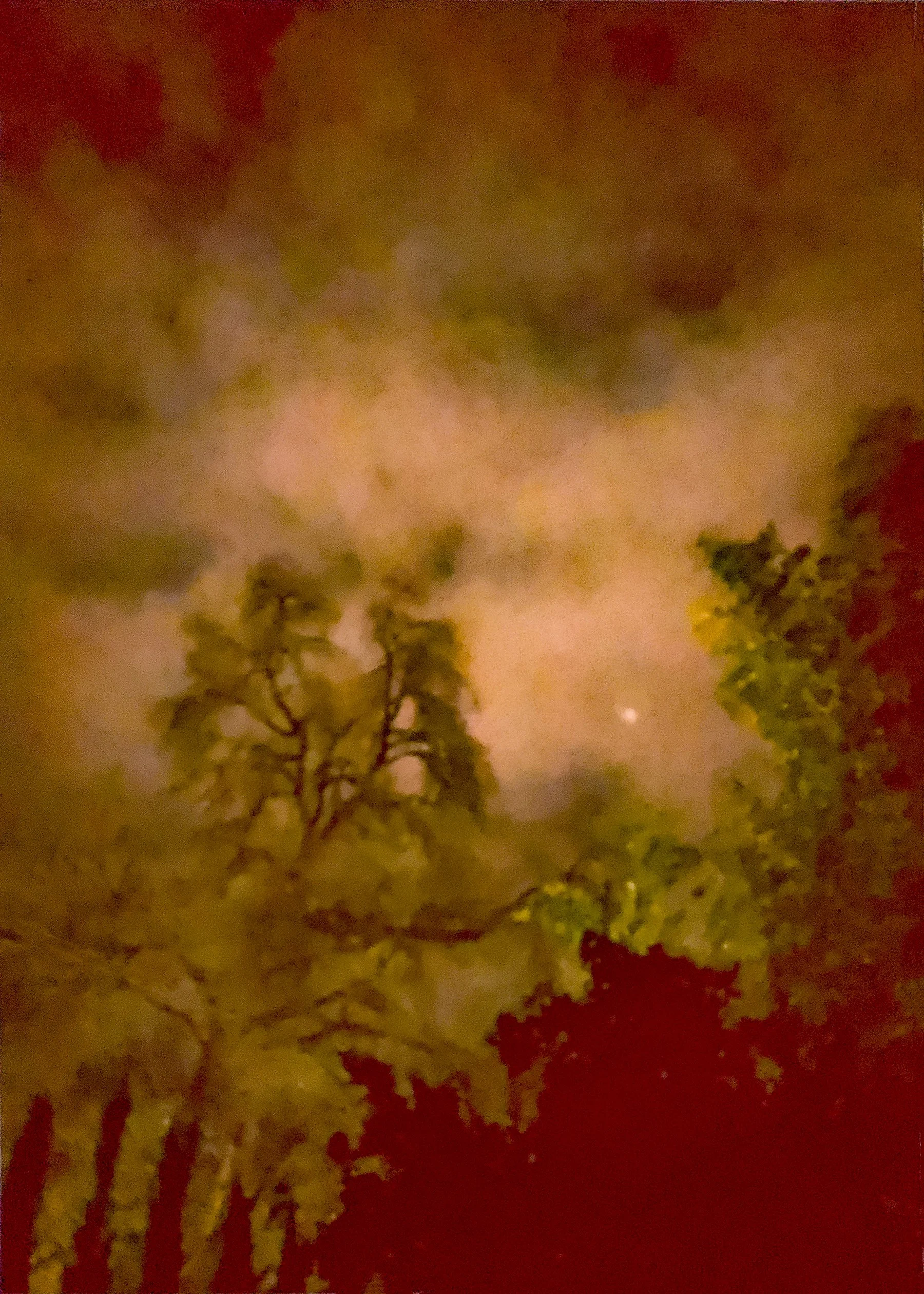 turnerautumnview