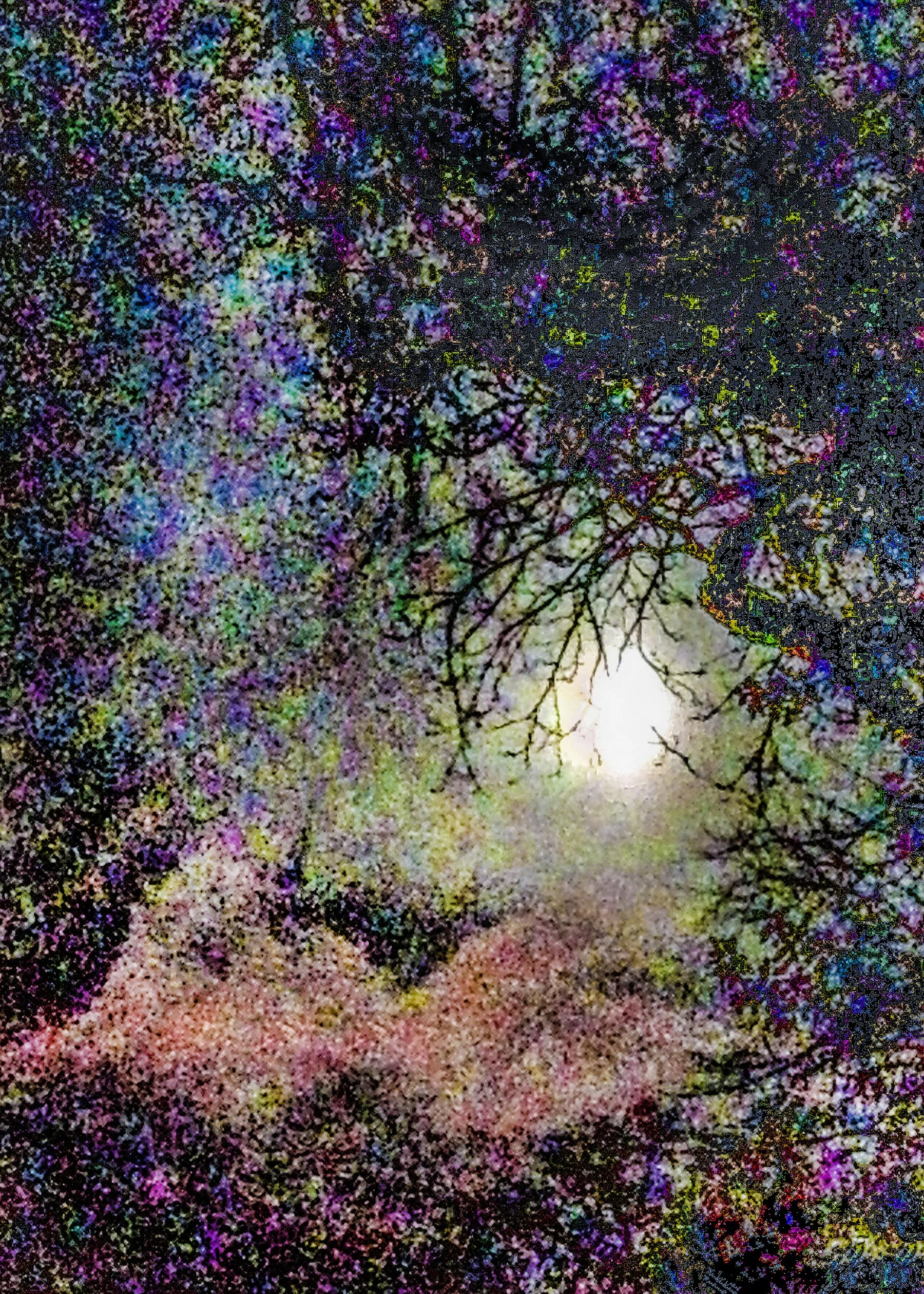 colorofnightcalligraphy