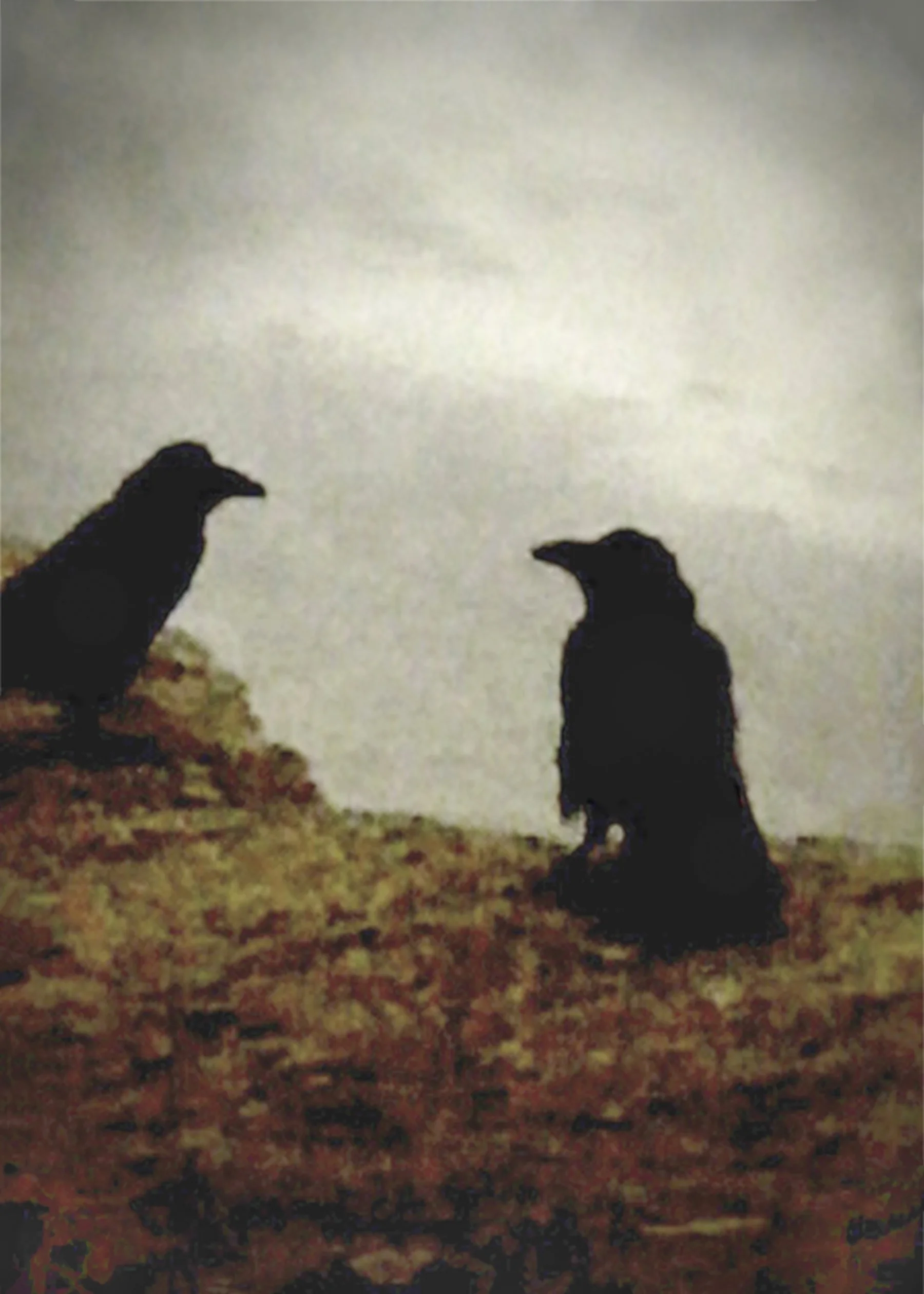 crows pacific
