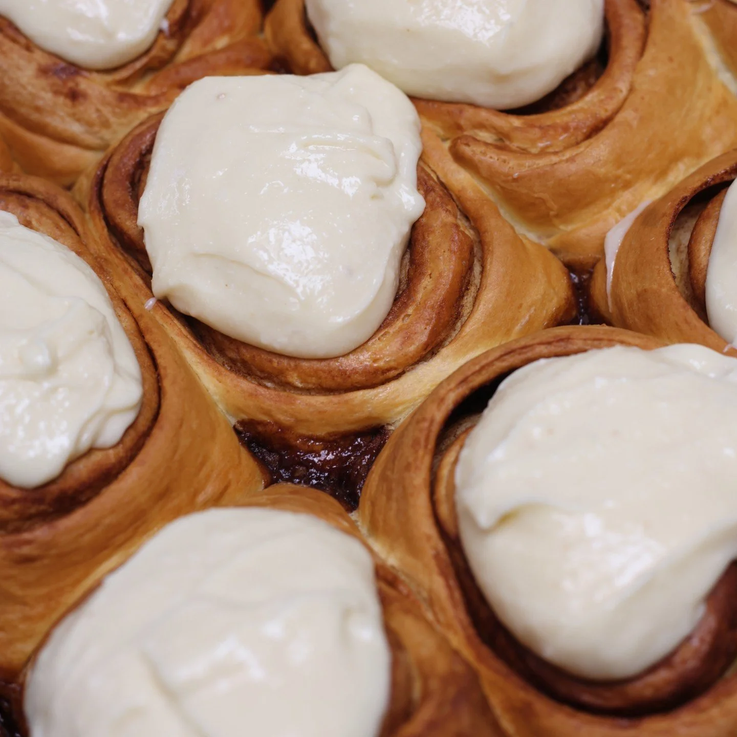 Does your cinnamon roll fill the whole plate?
Does it come from a professional baker multiple times a week?
Or does it have the perfect ratio of cinnamon, sugar, dough and icing?

If not, you're missing out. 
One roll from Mecca Caf&eacute; and your 