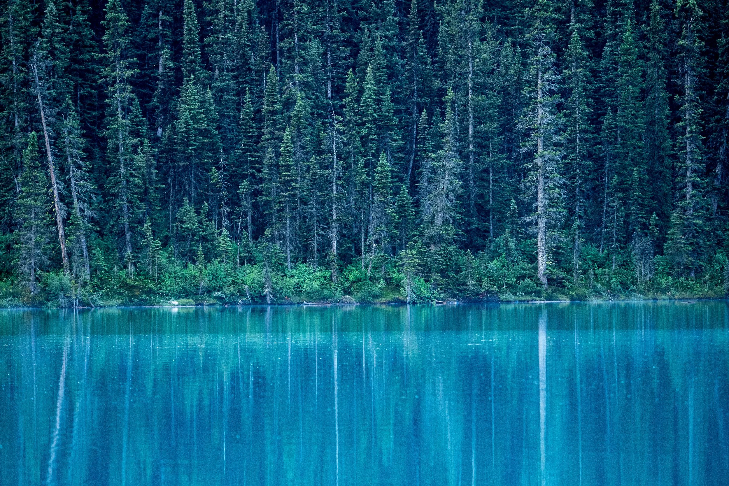 Lake Louise, Banff NP, Alberta, Canada