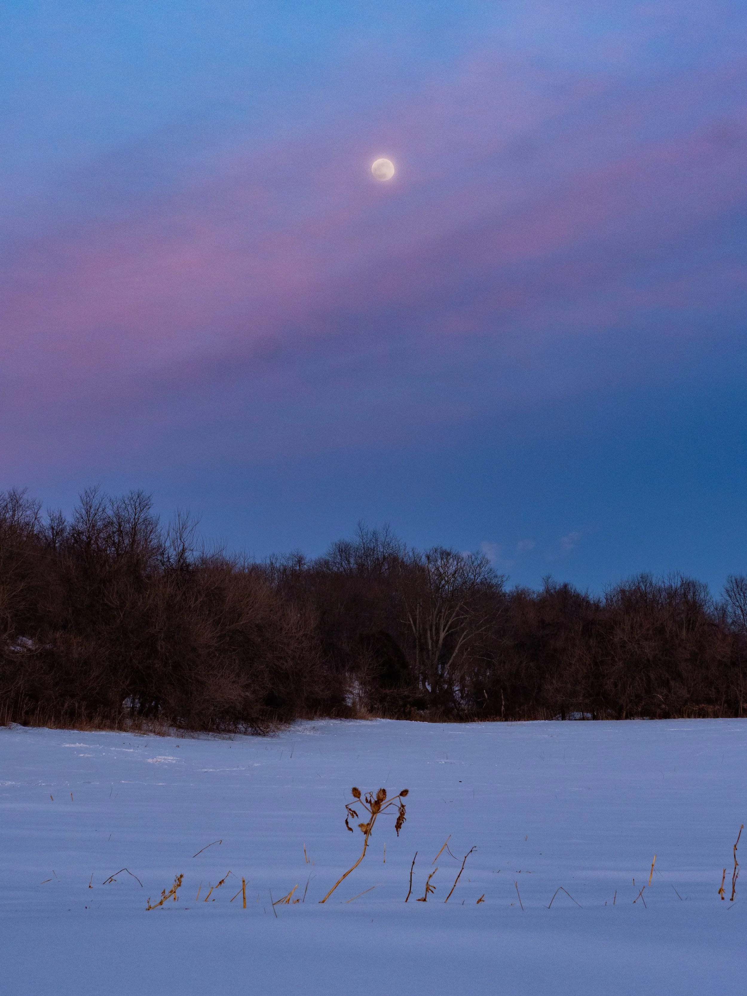 Loudon County, Virginia