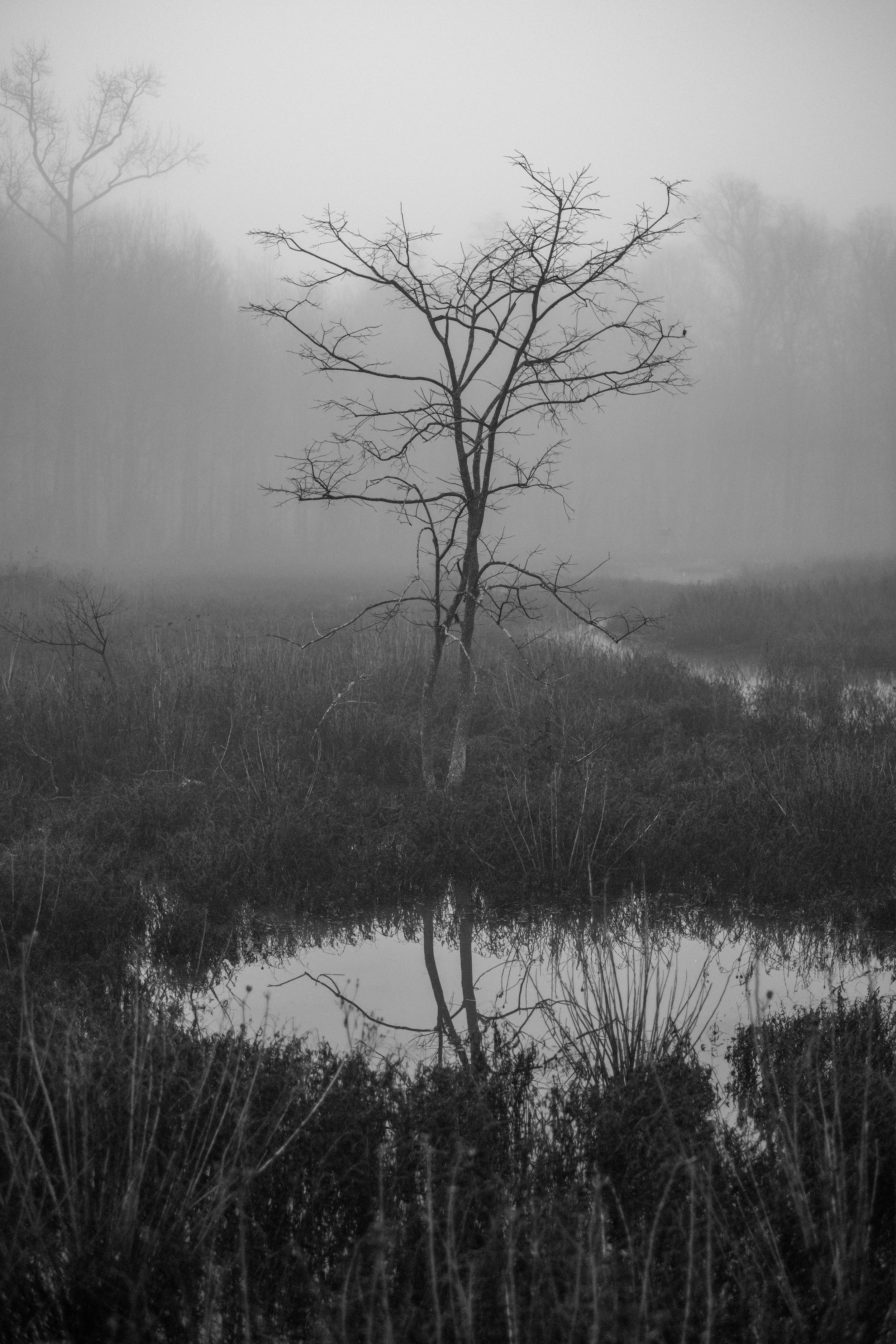 Huntley Meadows Park, Virginia