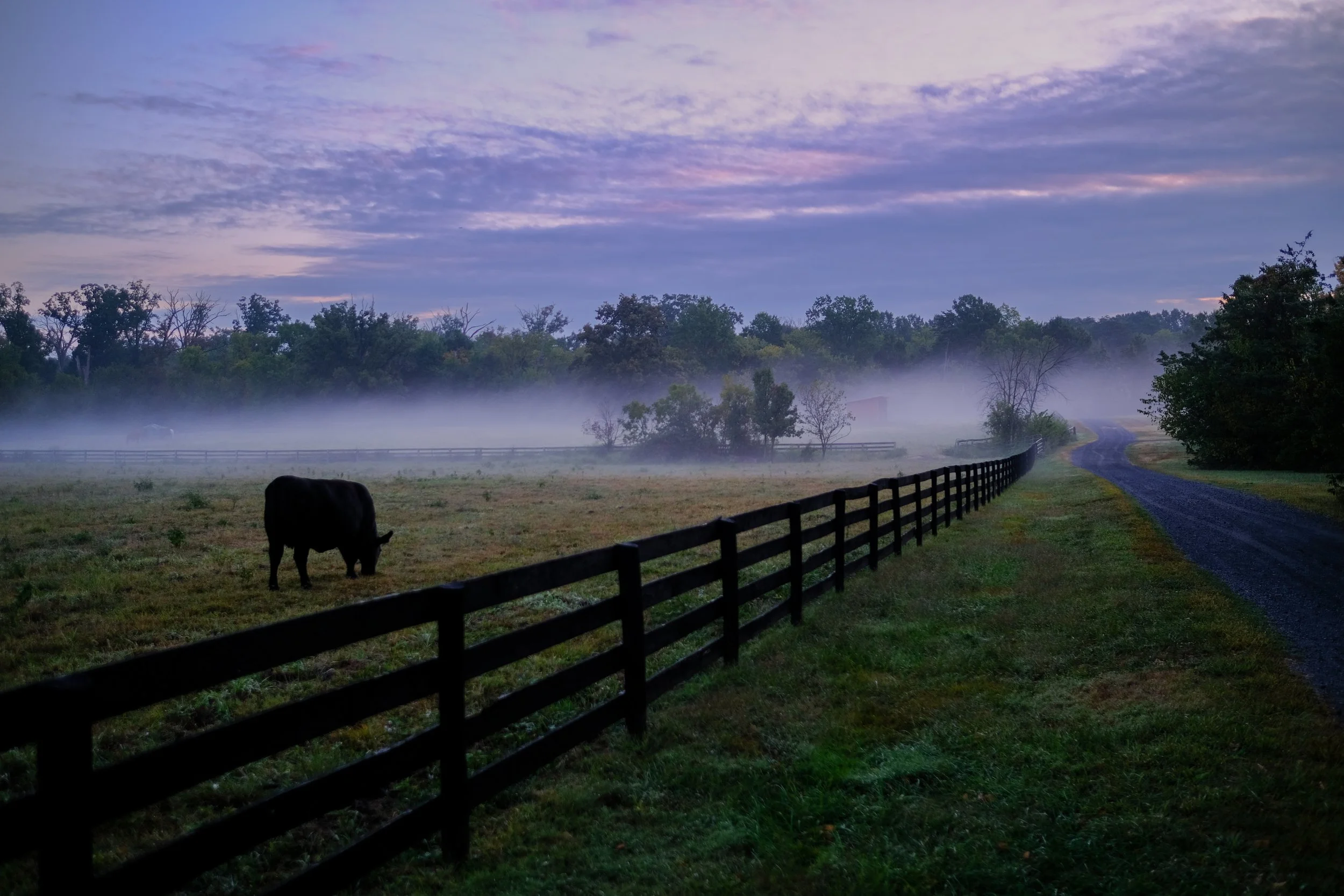 Frying Pan Park, Virginia