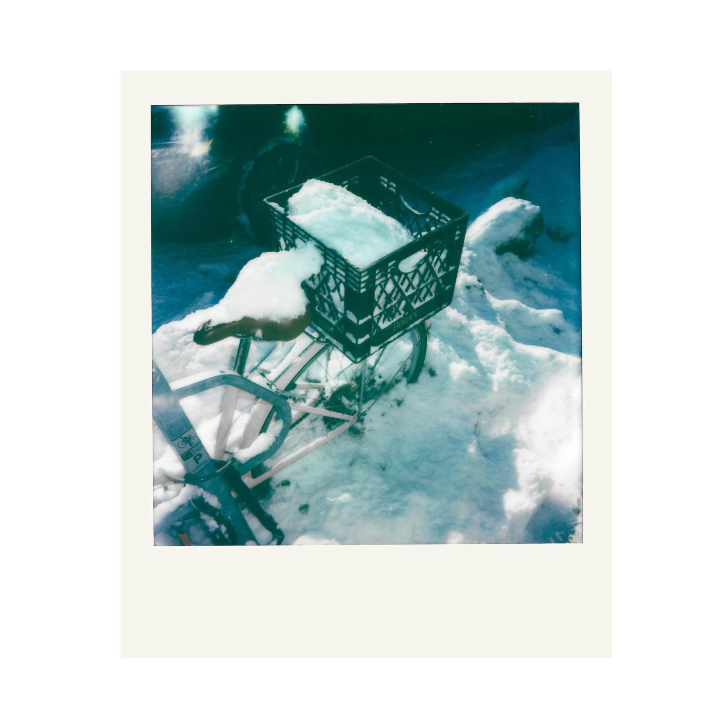 a very snowy december captured on polaroid ❄️