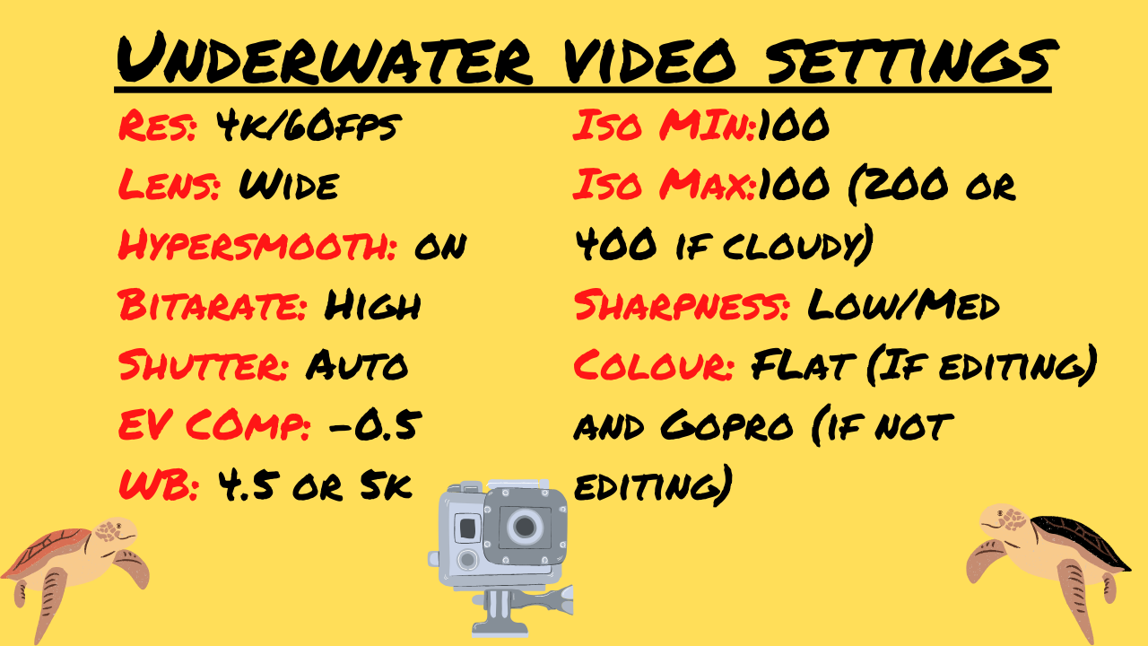 GoPro Hero 8 Black Best Underwater Video Settings — Ryuta Ogawa
