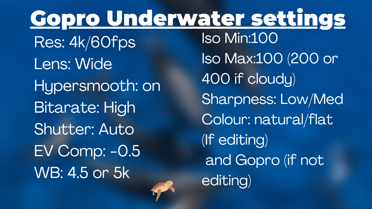 GoPro Underwater Filming Tips — Ryuta Ogawa
