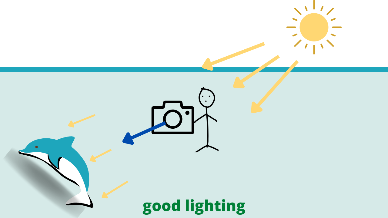 Tips to improve gopro underwater videos