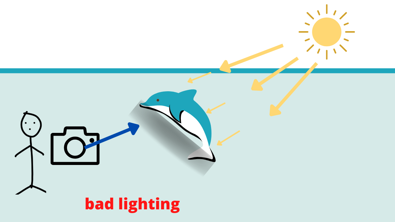 Gopro hero 10 black underwater filming tips