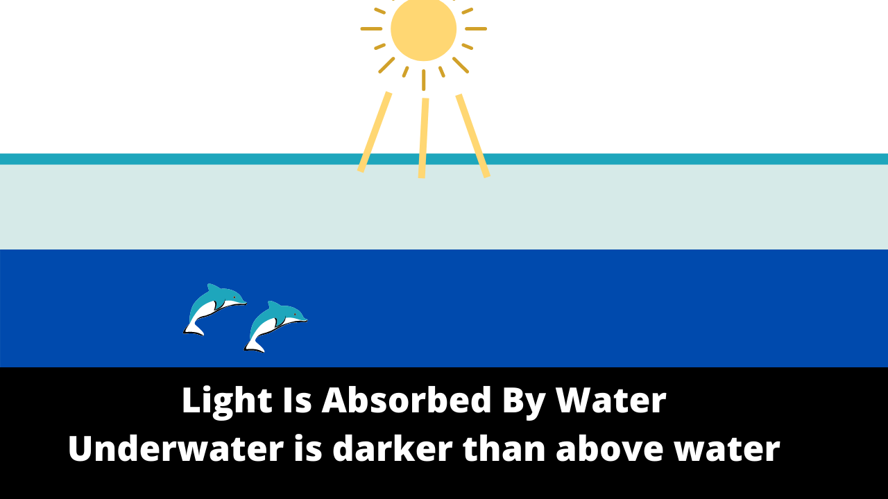 GoPro underwater video tips to improve your underwater videos