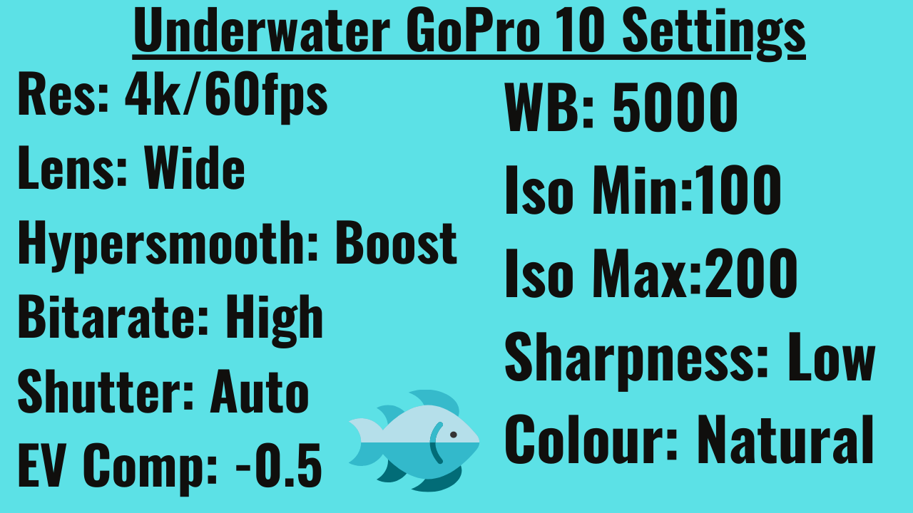 gopro hero 10 black underwater settings and tips
