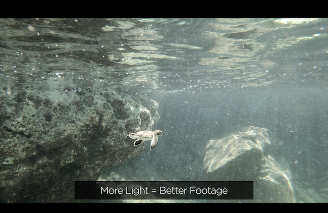 Gopro hero 10 black underwater tips for best quality