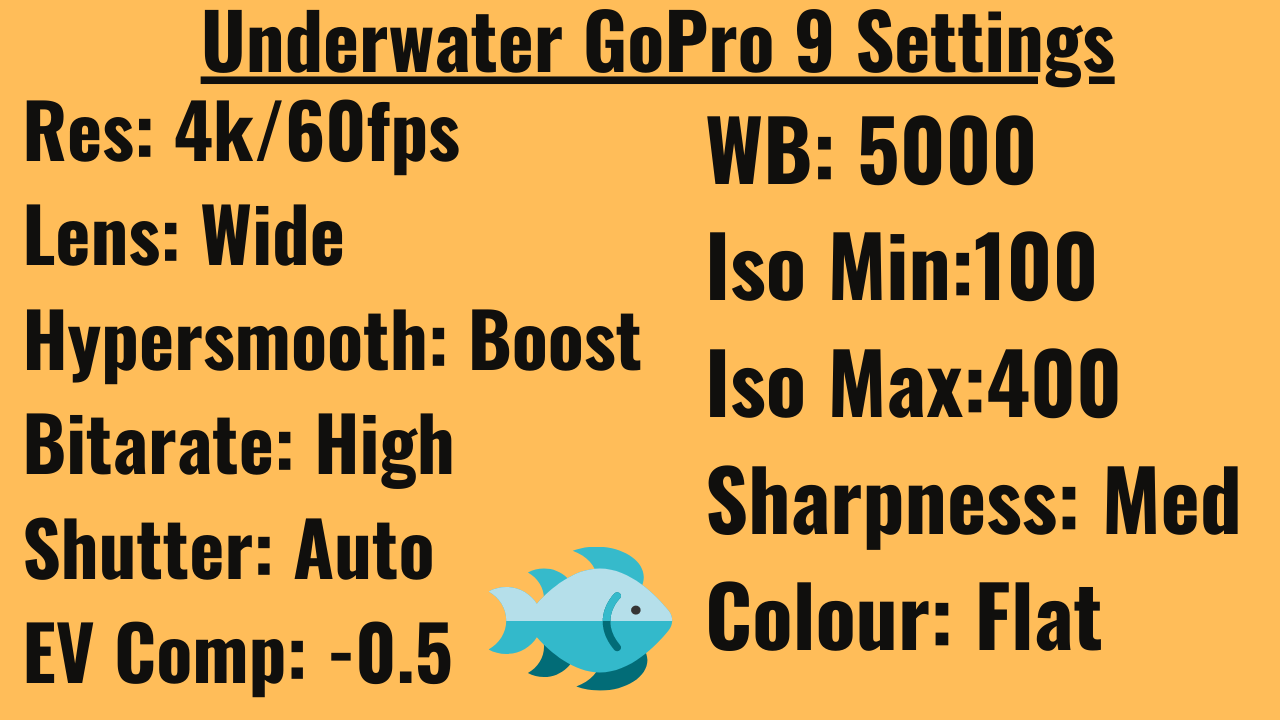 GoPro 9 Underwater Settings 