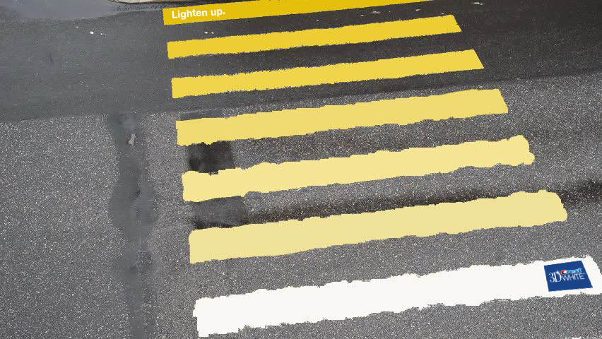 EXPERIENTIAL CREST.png