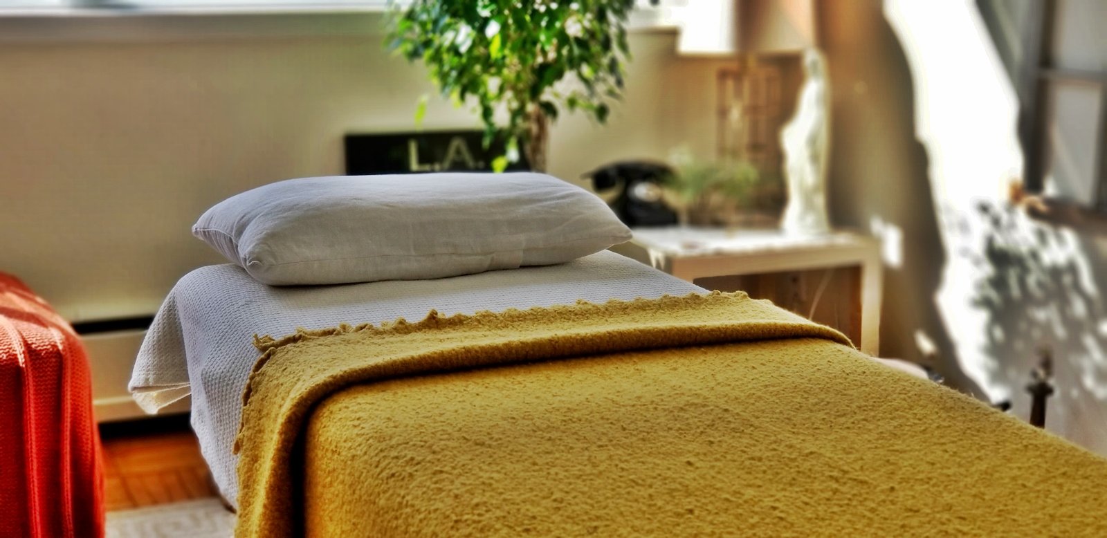 Dervesh Wellbeing Reiki.jpg