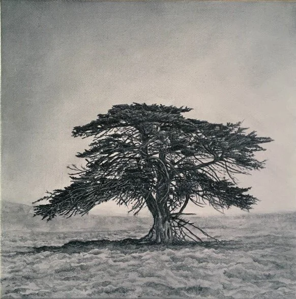 7.Kathryn Ryan Memory Marker-Jacks Tree 2,.JPG