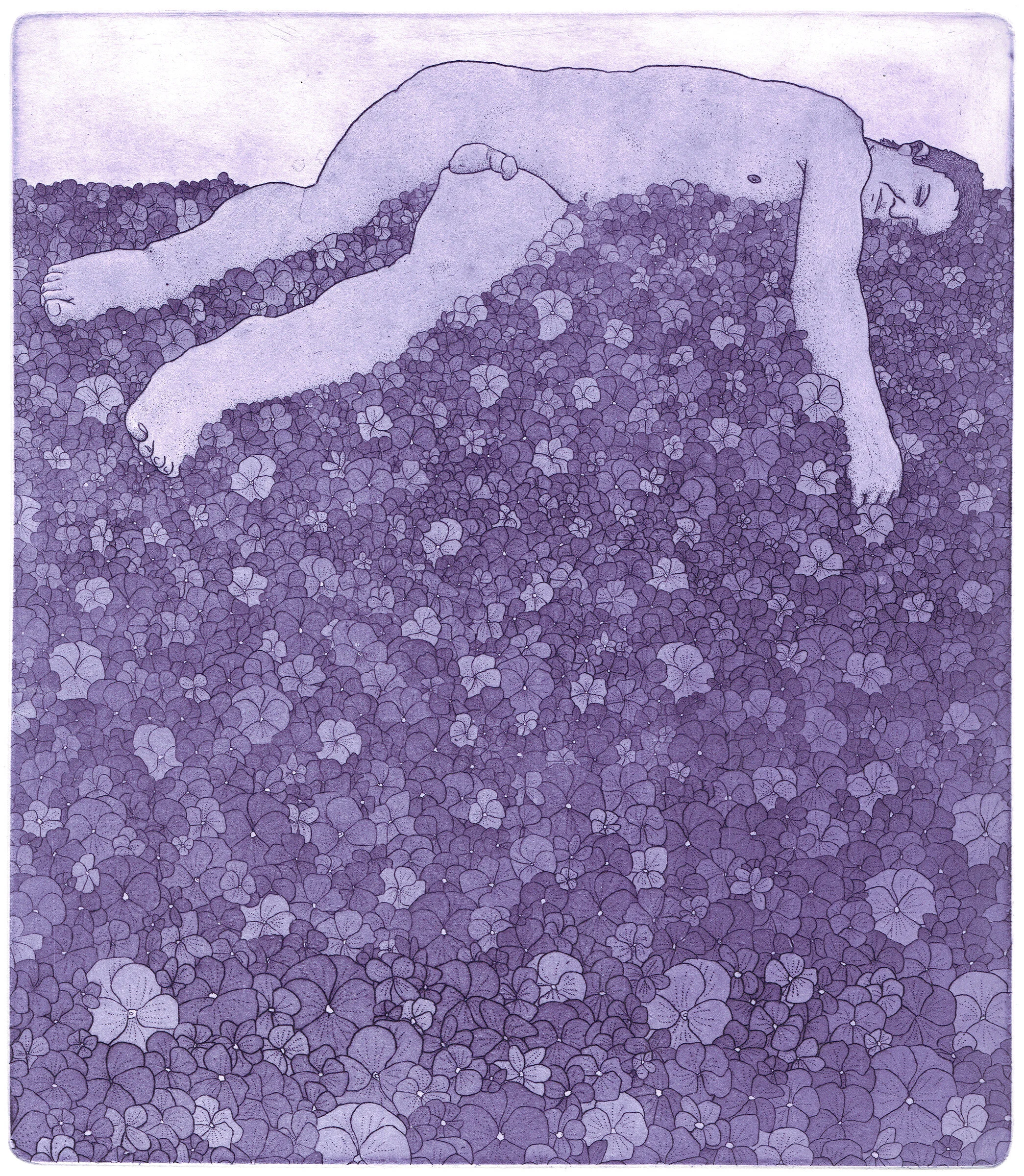 dream of violets.jpg